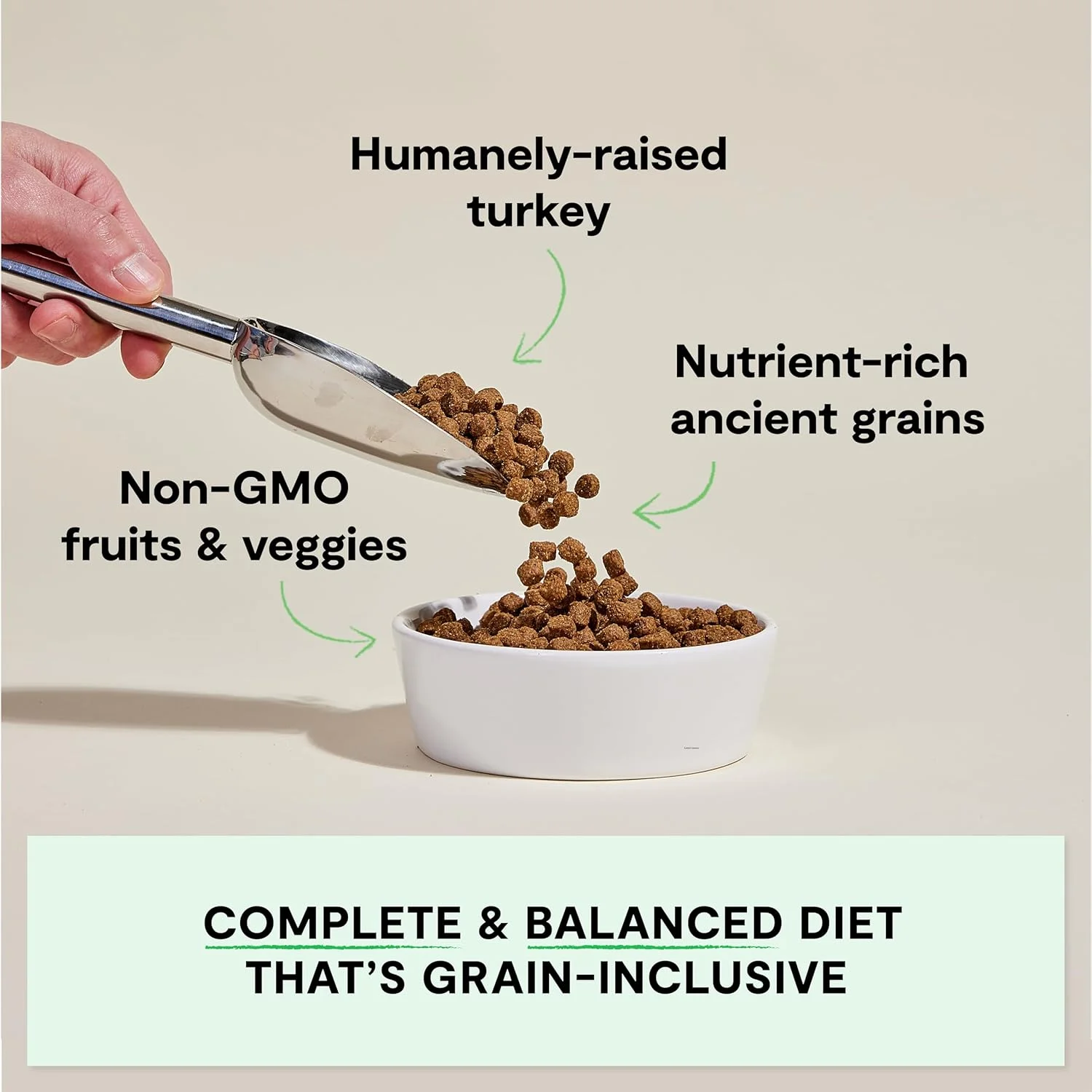 غذای خشک سگ با غلات باستانی اوپن فارم، غنی از پروتئین و مواد مغذی، 90% پروتئین حیوانی مخلوط با میوه ها، سبزیجات و سوپرفودهای غیر تراریخته، دستور پخت بوقلمون مزرعه، کیسه 22 پوندی
