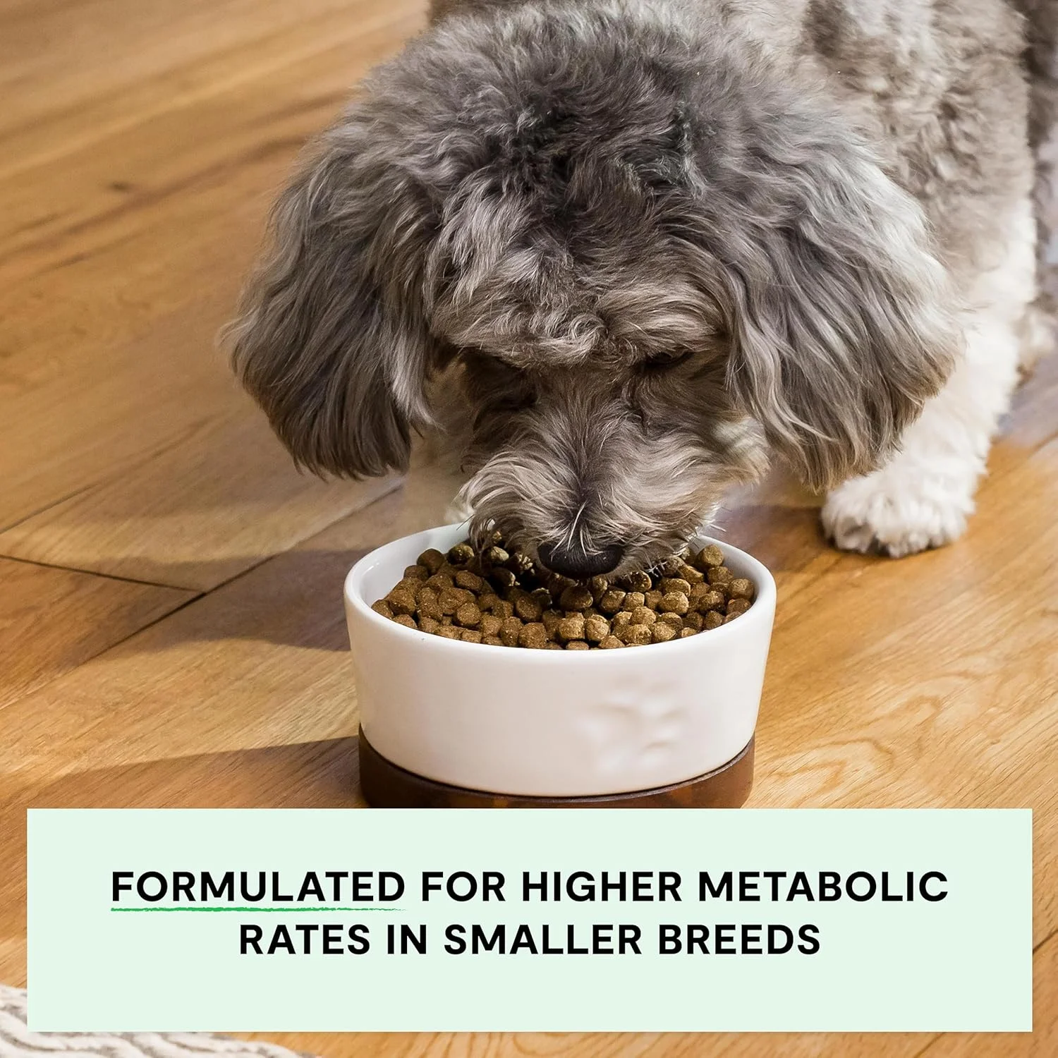 غذای خشک سگ نژاد کوچک بدون غلات اوپن فارم - 4.98 کیلوگرم