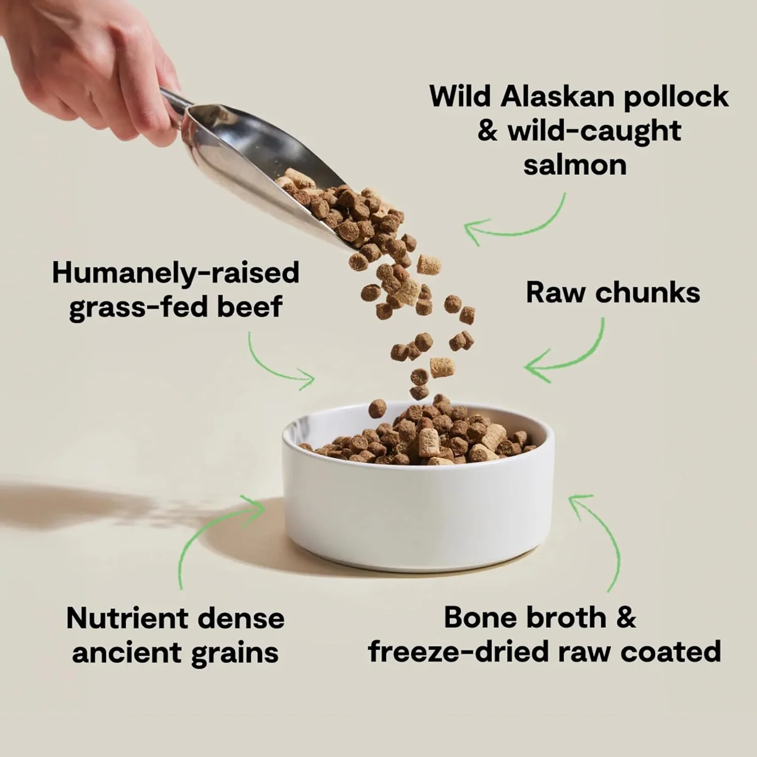 غذای خشک سگ اوپن فارم RawMix با غلات باستانی، کیبل غنی از پروتئین پوشیده شده در آب قلم با تکه های خام خشک شده، ماهی پولاک، گوشت گاو و ماهی سالمون، دستور پخت Tide & Terrain، کیسه 3.5 پوندی