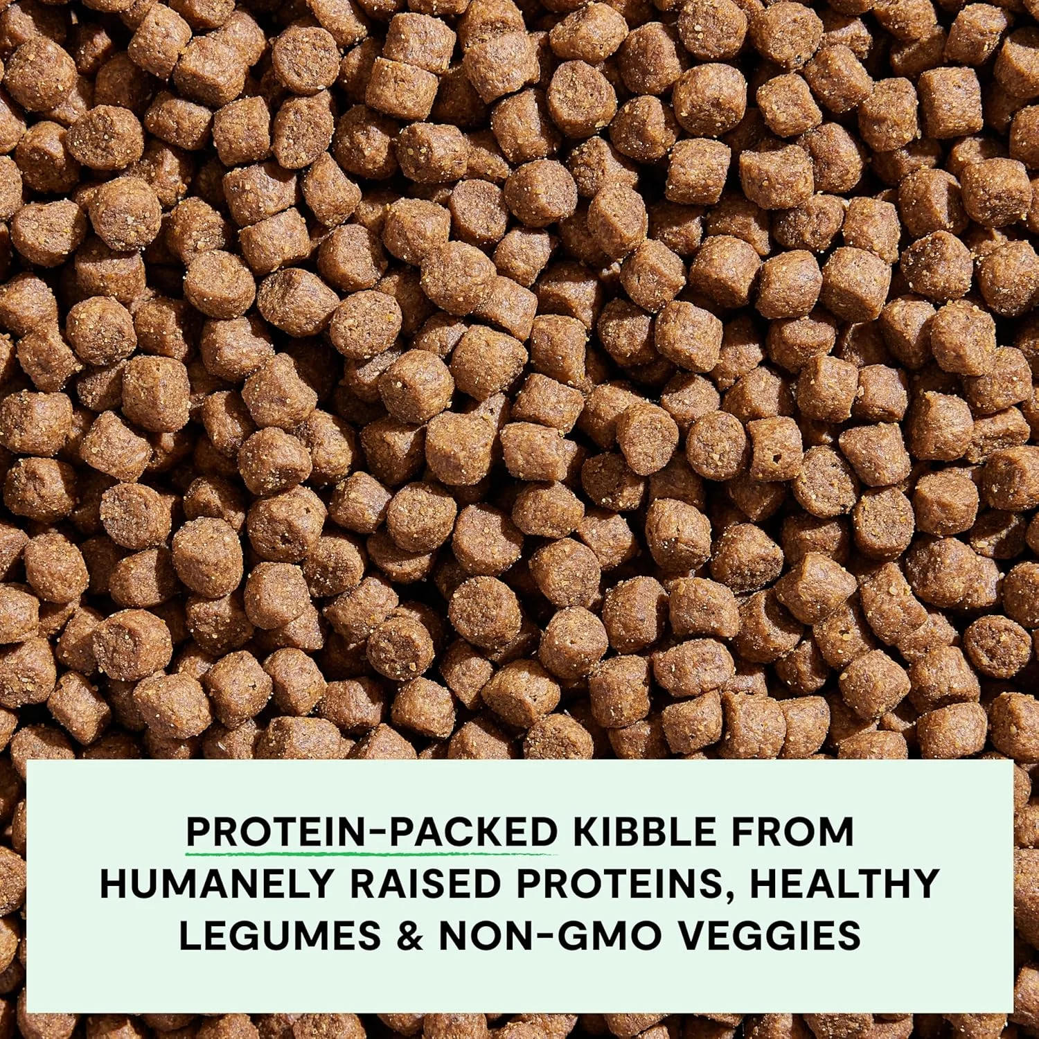 غذای خشک سگ بدون غلات اوپن فارم با گوشت گاو تغذیه شده با علف - 4.98 کیلوگرم