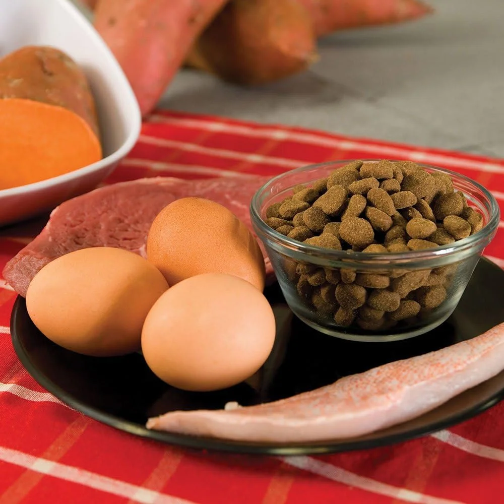 غذای خشک سگ بالغ اوریجن مدل Original وزن 11.4 کیلوگرم