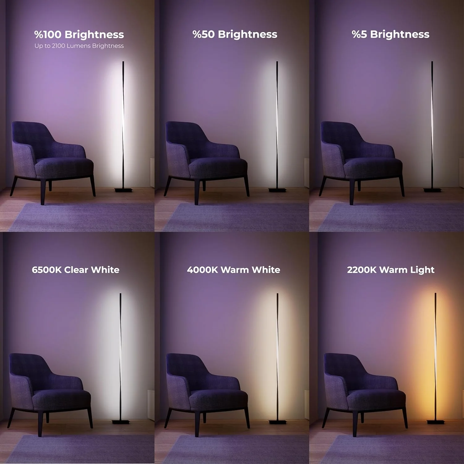 چراغ ایستاده LED مدرن و پیچ خورده BESTY HOME با کنترل از راه دور برای روشنایی روشن اتاق نشیمن، چراغ بلند 140 سانتی متری برای اتاق خواب، دفاتر - کم نور شونده، چراغ قطبی داخلی معاصر (مشکی مات، 140 سانتی متر) چراغ ایستاده LED مدرن و پیچ خورده BESTY HOME با کنترل از راه دور برای روشنایی روشن اتاق نشیمن، چراغ بلند 140 سانتی متری برای اتاق خواب، دفاتر - کم نور شونده، چراغ قطبی داخلی معاصر (مشکی مات، 140 سانتی متر)