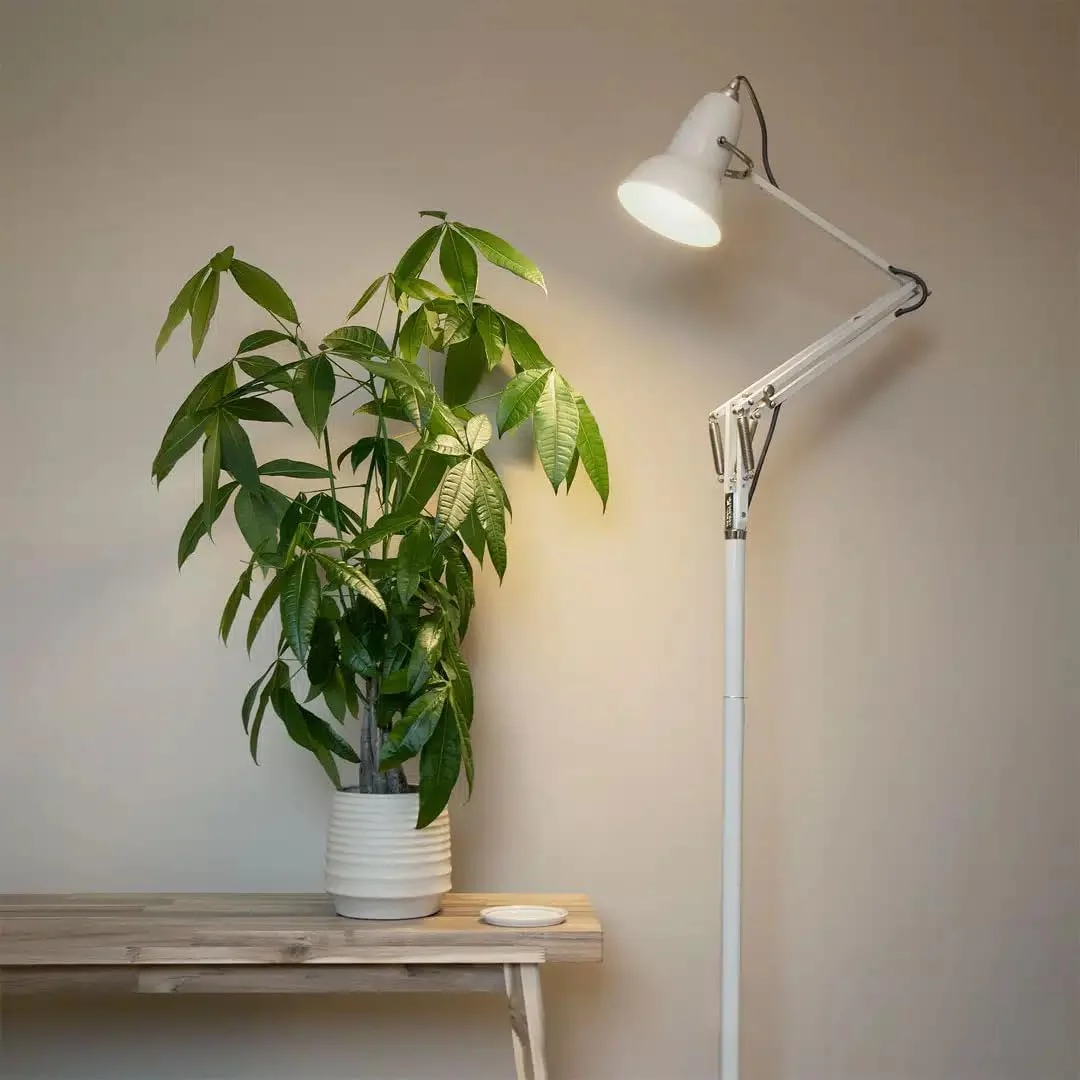 چراغ ایستاده آنگلپویز مدل اورجینال 1227 - سفید کتانی با کابل خاکستری چراغ ایستاده آنگلپویز مدل اورجینال 1227 - سفید کتانی با کابل خاکستری