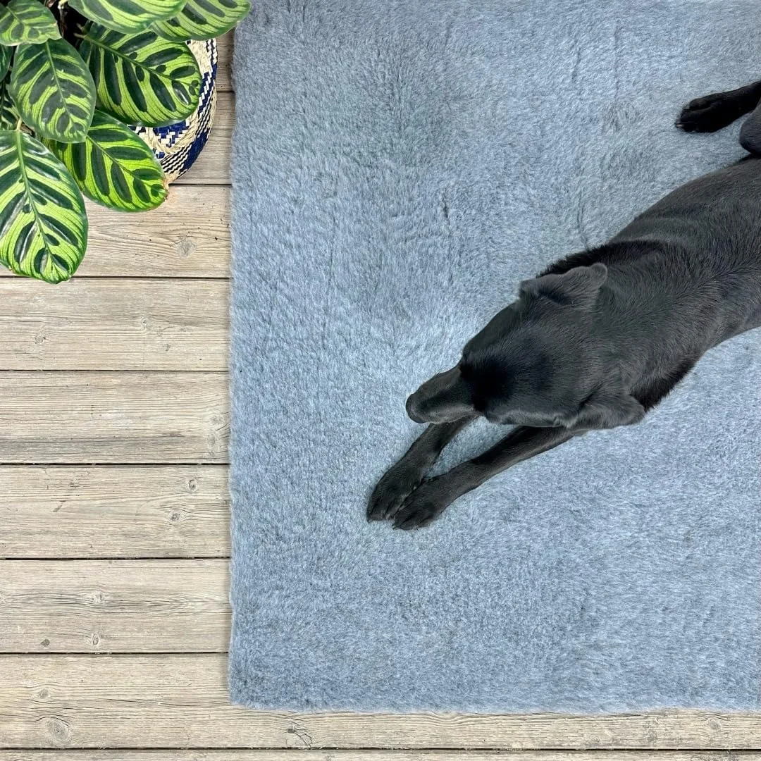 تخت خواب حیوانات خانگی Soul Destiny، خاکستری سنتی، درجه یک، ضخامت 30 میلی متر، برش خورده به صورت مربعی و رولی. تخت خواب ضخیم سگ و توله سگ تخت خواب حیوانات خانگی Soul Destiny، خاکستری سنتی، درجه یک، ضخامت 30 میلی متر، برش خورده به صورت مربعی و رولی. تخت خواب ضخیم سگ و توله سگ