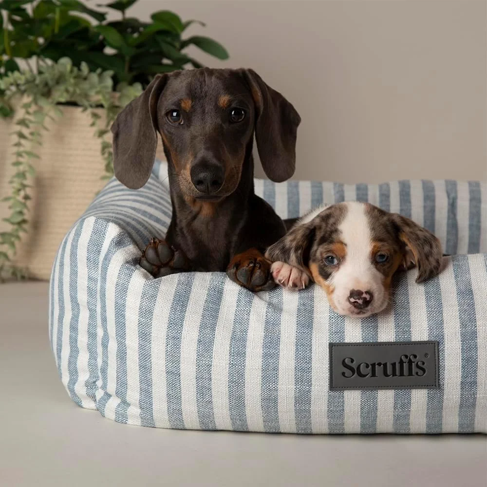تخت جعبه ای سگ/حیوان خانگی Scruffs Coastal (سایز M) تخت جعبه ای سگ/حیوان خانگی Scruffs Coastal (سایز M)