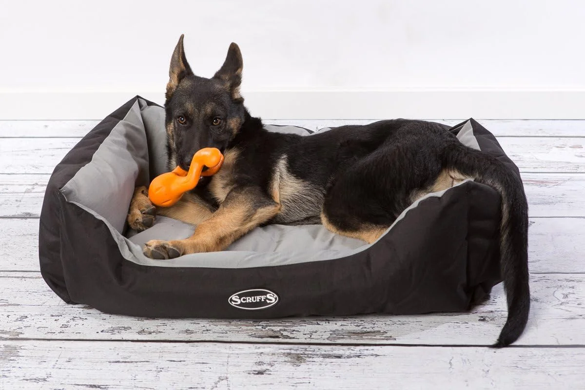 تخت سگ اسکرافز مدل اکسپدیشن S-PLUM تخت سگ اسکرافز مدل اکسپدیشن S-PLUM