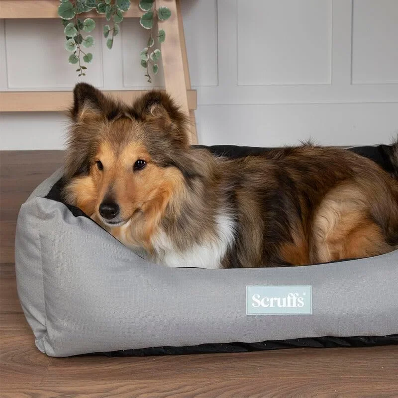 تخت خواب سگ جعبه ای اسکرافز مدل اکسپدیشن سایز M - خاکستری تخت خواب سگ جعبه ای اسکرافز مدل اکسپدیشن سایز M - خاکستری