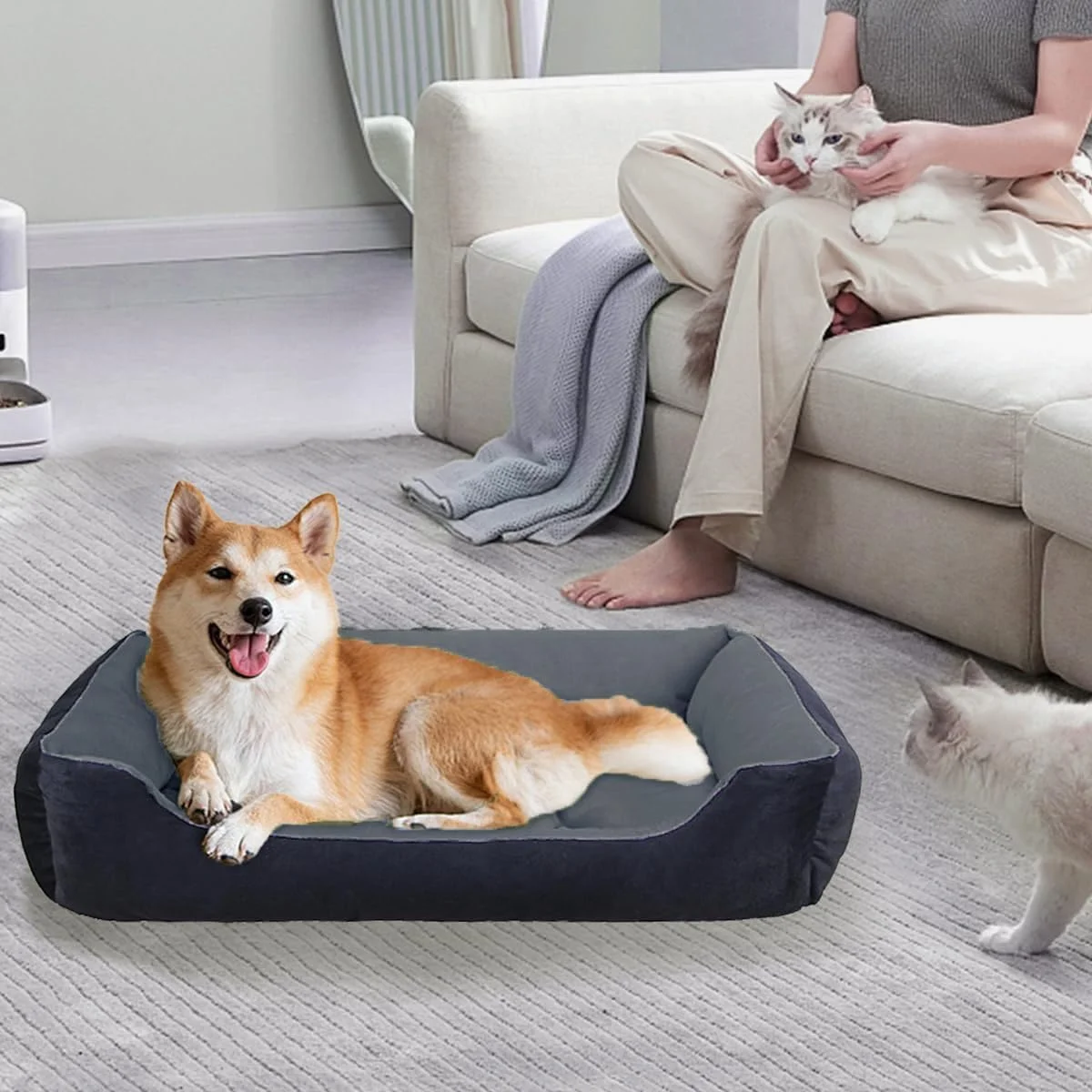 مبل تختخواب بزرگ سگ Ruikg - راحت، قابل شستشو و مقاوم در برابر جویدن با کناره های تقویت شده برای حداکثر راحتی مبل تختخواب بزرگ سگ Ruikg - راحت، قابل شستشو و مقاوم در برابر جویدن با کناره های تقویت شده برای حداکثر راحتی