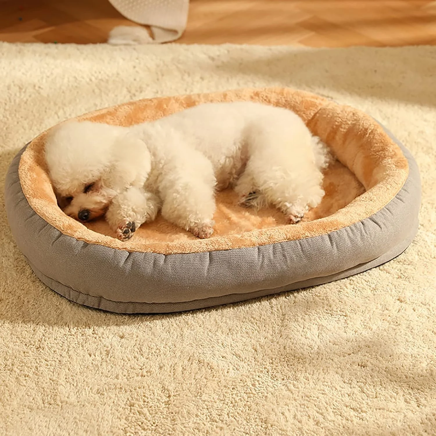 تخت خواب گربه سگ، تشک تخت خواب گربه مخمل خواب دار، تخت خواب توله سگ نرم و گرم، تخت خواب حیوانات خانگی قابل شستشو برای سگ های کوچک با زیره ضد لغزش، تخت خواب آرامش بخش سگ و گربه (بزرگ) تخت خواب گربه سگ، تشک تخت خواب گربه مخمل خواب دار، تخت خواب توله سگ نرم و گرم، تخت خواب حیوانات خانگی قابل شستشو برای سگ های کوچک با زیره ضد لغزش، تخت خواب آرامش بخش سگ و گربه (بزرگ)