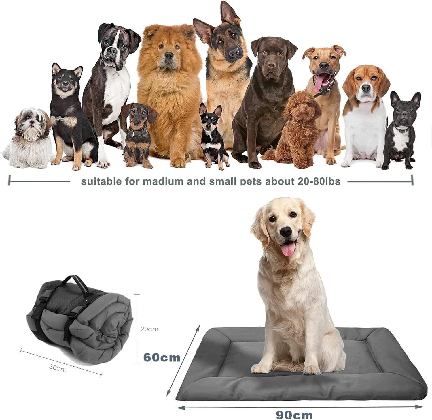 تخت خواب قابل حمل سگ و گربه L&E، تشک سگ قابل شستشو، تشک تاشو آکسفورد برای حیوانات خانگی مناسب برای استفاده در داخل خانه، کمپینگ در فضای باز، مسافرت، پیاده روی، سایزهای مختلف سگ (90 * 40 سانتی متر) (خاکستری) تخت خواب قابل حمل سگ و گربه L&E، تشک سگ قابل شستشو، تشک تاشو آکسفورد برای حیوانات خانگی مناسب برای استفاده در داخل خانه، کمپینگ در فضای باز، مسافرت، پیاده روی، سایزهای مختلف سگ (90 * 40 سانتی متر) (خاکستری)