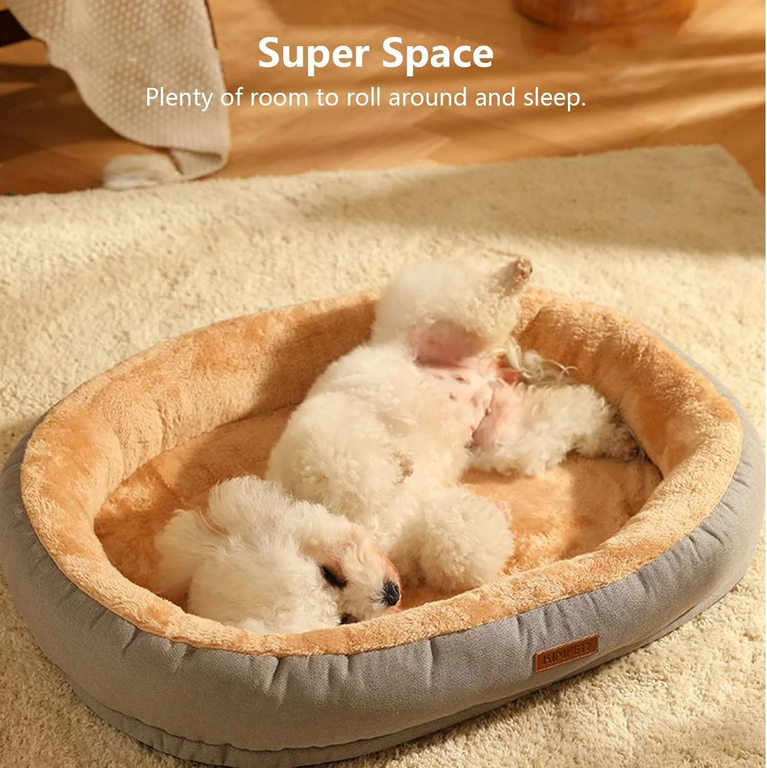 تخت خواب گربه سگ، تشک تخت خواب گربه مخمل خواب دار، تخت خواب توله سگ نرم و گرم، تخت خواب حیوانات خانگی قابل شستشو برای سگ های کوچک با زیره ضد لغزش، تخت خواب آرامش بخش سگ و گربه (بزرگ) تخت خواب گربه سگ، تشک تخت خواب گربه مخمل خواب دار، تخت خواب توله سگ نرم و گرم، تخت خواب حیوانات خانگی قابل شستشو برای سگ های کوچک با زیره ضد لغزش، تخت خواب آرامش بخش سگ و گربه (بزرگ)