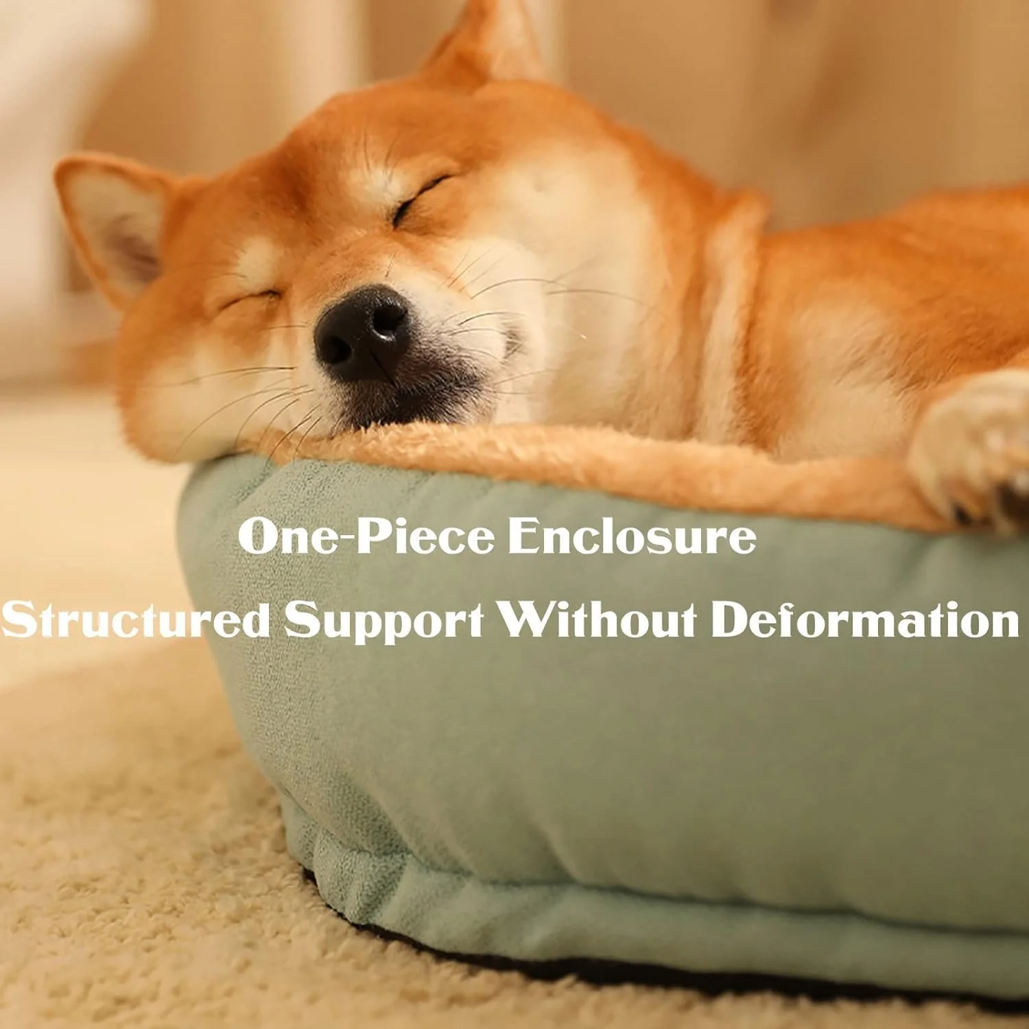 تخت خواب گربه سگ، تشک تخت خواب گربه مخمل خواب دار، تخت خواب توله سگ نرم و گرم، تخت خواب حیوانات خانگی قابل شستشو برای سگ های کوچک با زیره ضد لغزش، تخت خواب آرامش بخش سگ و گربه (بزرگ) تخت خواب گربه سگ، تشک تخت خواب گربه مخمل خواب دار، تخت خواب توله سگ نرم و گرم، تخت خواب حیوانات خانگی قابل شستشو برای سگ های کوچک با زیره ضد لغزش، تخت خواب آرامش بخش سگ و گربه (بزرگ)