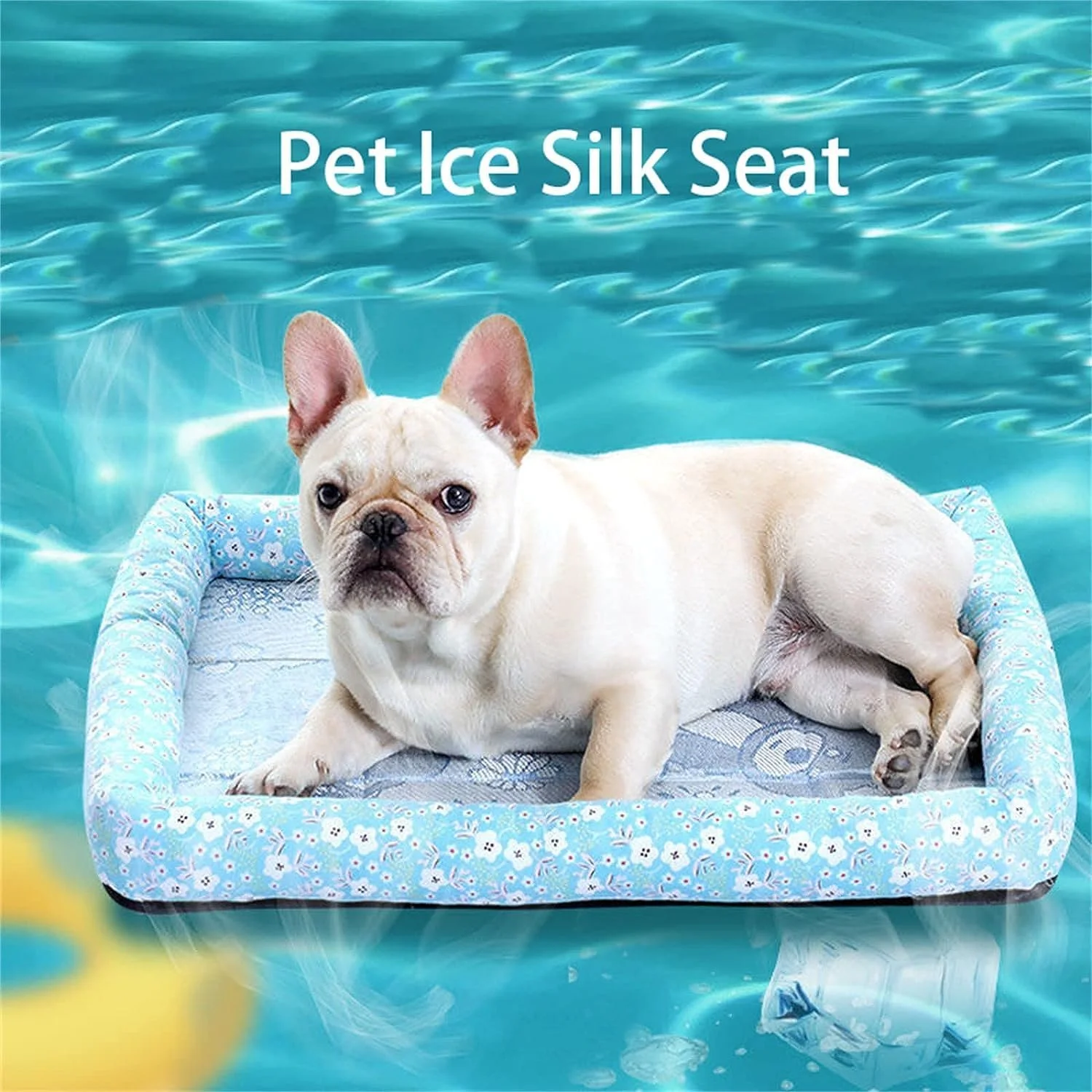 پد خنک کننده تخت خواب سگ و گربه پتساری به همراه 1 عدد تگ شناسایی حیوان خانگی - تشک خواب نرم ضد آب و ضد لغزش - پد یخی تنفسی طرح خرس تدی - تشک خواب لوکس تابستانی برای سگ / گربه - سایز متوسط پد خنک کننده تخت خواب سگ و گربه پتساری به همراه 1 عدد تگ شناسایی حیوان خانگی - تشک خواب نرم ضد آب و ضد لغزش - پد یخی تنفسی طرح خرس تدی - تشک خواب لوکس تابستانی برای سگ / گربه - سایز متوسط