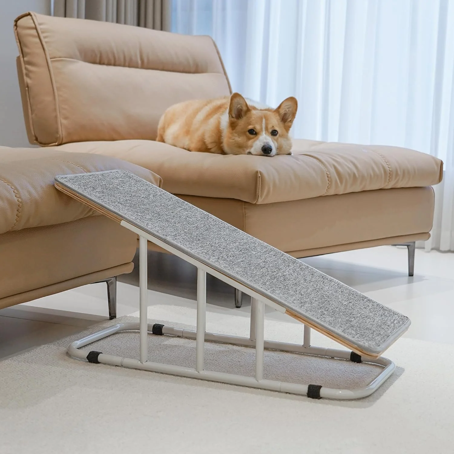 رمپ سگ پتکاری، رمپ حیوانات خانگی داخلی برای مبل، پله سگ برای حیوانات خانگی کوچک و متوسط، رمپ فلزی و پله های ضد لغزش، ارتفاع ثابت 16 اینچ رمپ سگ پتکاری، رمپ حیوانات خانگی داخلی برای مبل، پله سگ برای حیوانات خانگی کوچک و متوسط، رمپ فلزی و پله های ضد لغزش، ارتفاع ثابت 16 اینچ