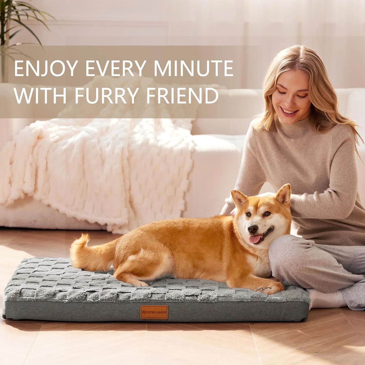 تخت خواب ارتوپدی سگ Patas Lague مناسب سگ های کوچک 76x51 سانتی متر، ضد آب، نرم، گرم، راحت، فوم جعبه تخم مرغ، تشک تخت حیوانات خانگی کوچک با روکش قابل جابجایی و شستشو و زیره ضد لغزش، خاکستری تخت خواب ارتوپدی سگ Patas Lague مناسب سگ های کوچک 76x51 سانتی متر، ضد آب، نرم، گرم، راحت، فوم جعبه تخم مرغ، تشک تخت حیوانات خانگی کوچک با روکش قابل جابجایی و شستشو و زیره ضد لغزش، خاکستری