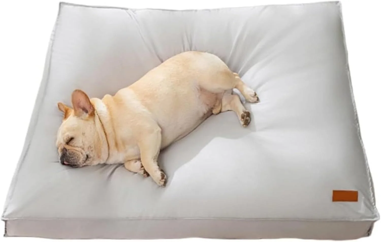 تخت خواب سگ MOTIM، تشک خواب حیوانات خانگی برای قفس با روکش قابل جابجایی و شستشو برای سگ های کوچک، متوسط و بزرگ، پد ضد آب و راحت برای سگ و گربه (خاکستری، 65 * 50 * 10 سانتی متر) تخت خواب سگ MOTIM، تشک خواب حیوانات خانگی برای قفس با روکش قابل جابجایی و شستشو برای سگ های کوچک، متوسط و بزرگ، پد ضد آب و راحت برای سگ و گربه (خاکستری، 65 * 50 * 10 سانتی متر)