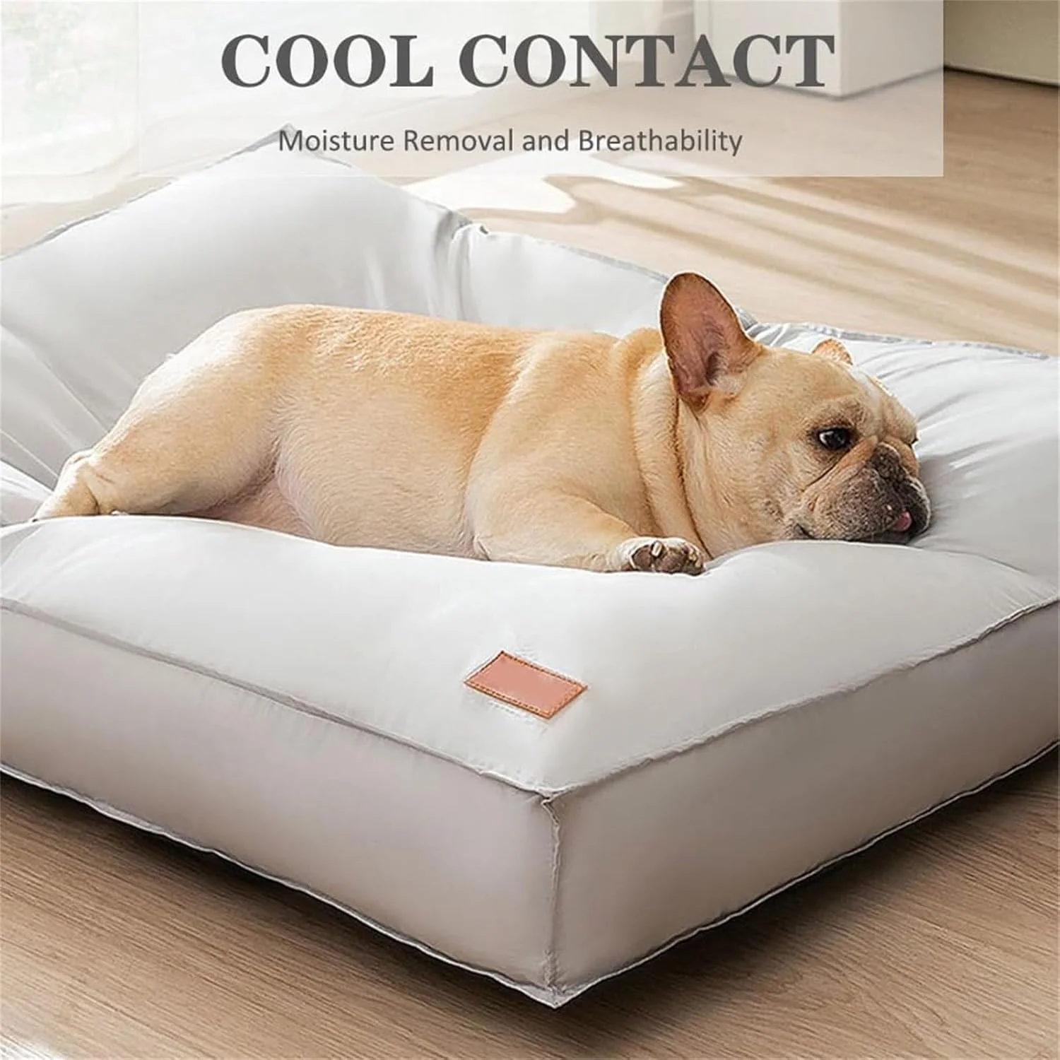 تخت خواب سگ MOTIM، تشک خواب حیوانات خانگی برای قفس با روکش قابل جابجایی و شستشو برای سگ های کوچک، متوسط و بزرگ، پد ضد آب و راحت برای سگ و گربه (خاکستری، 65 * 50 * 10 سانتی متر) تخت خواب سگ MOTIM، تشک خواب حیوانات خانگی برای قفس با روکش قابل جابجایی و شستشو برای سگ های کوچک، متوسط و بزرگ، پد ضد آب و راحت برای سگ و گربه (خاکستری، 65 * 50 * 10 سانتی متر)