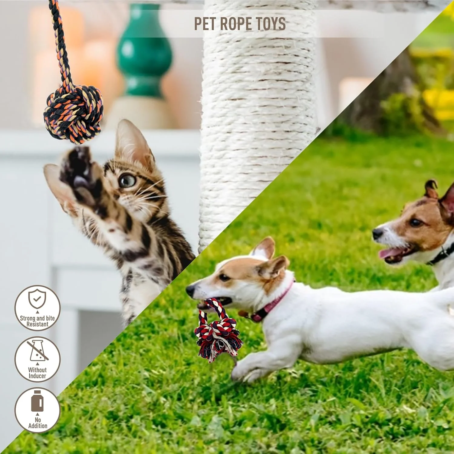 پله سگ Masthome برای تخت مبل، پله سگ 3 مرحله ای با روکش قابل شستشو، نردبان سگ فوم متراکم غیر لغزنده برای سگ های کوچک گربه ها، 57 x 40 x 40 سانتی متر پله سگ Masthome برای تخت مبل، پله سگ 3 مرحله ای با روکش قابل شستشو، نردبان سگ فوم متراکم غیر لغزنده برای سگ های کوچک گربه ها، 57 x 40 x 40 سانتی متر