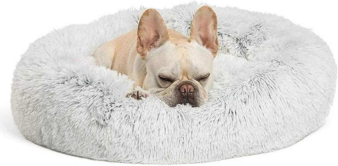 تخت خواب گربه ای Lovlifer مدل Marshmallow، تخت خواب گرم، گرد و راحت برای سگ، توله سگ، تدی و گربه، زیره ضد لغزش، تخت خواب گربه ای قابل شستشو (خاکستری روشن 70 سانتی متر) تخت خواب گربه ای Lovlifer مدل Marshmallow، تخت خواب گرم، گرد و راحت برای سگ، توله سگ، تدی و گربه، زیره ضد لغزش، تخت خواب گربه ای قابل شستشو (خاکستری روشن 70 سانتی متر)