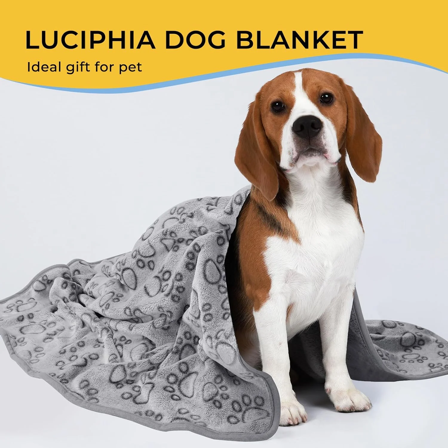 پتو سگ لوسیفیا برای سگ های کوچک و بزرگ، پتو پشمی نرم، لوازم ضروری توله سگ، هدیه، پتو گربه برای گربه های خانگی، روانداز آرامش بخش، روکش تخت، محافظ مبل، لوازم حیوانات خانگی، خاکستری (76x50 سانتی متر) پتو سگ لوسیفیا برای سگ های کوچک و بزرگ، پتو پشمی نرم، لوازم ضروری توله سگ، هدیه، پتو گربه برای گربه های خانگی، روانداز آرامش بخش، روکش تخت، محافظ مبل، لوازم حیوانات خانگی، خاکستری (76x50 سانتی متر)