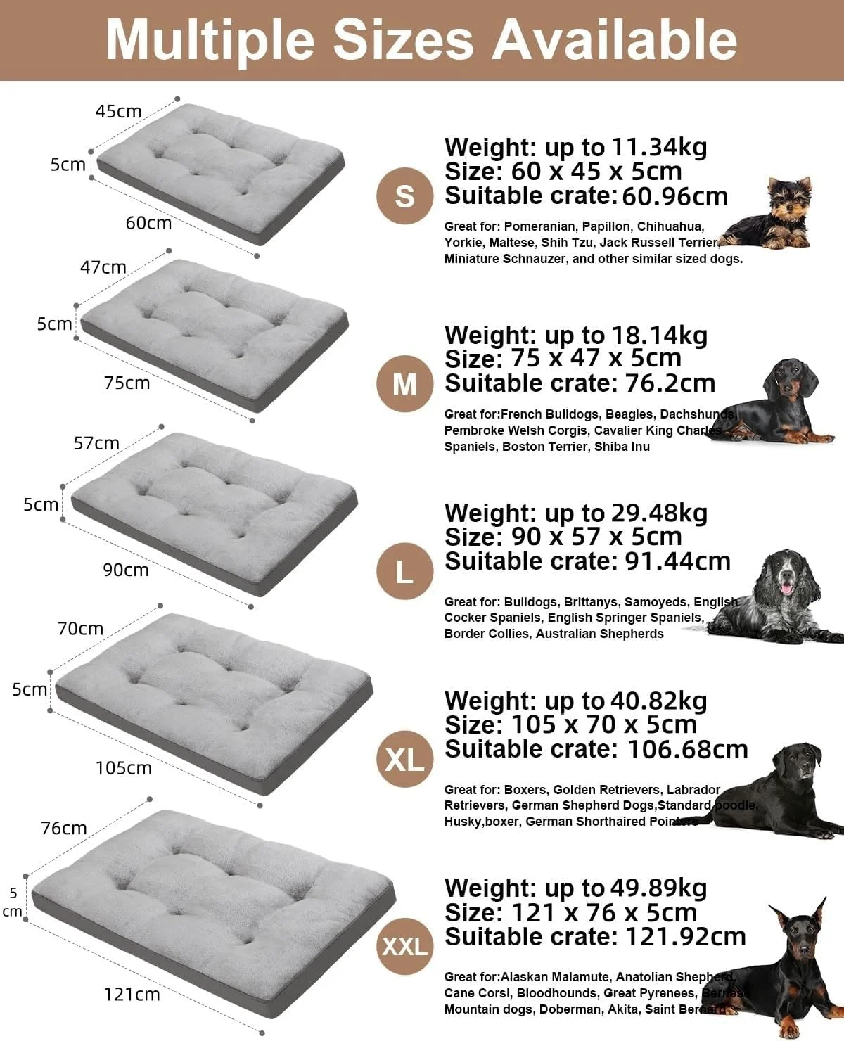 تخت سگ LUCKY-D برای جعبه، قابل شستشو، سایز خیلی بزرگ، تشک لانه سگ مخملی، پد تشک خواب حیوانات خانگی با کف ضد لغزش (خاکستری، XX-بزرگ) تخت سگ LUCKY-D برای جعبه، قابل شستشو، سایز خیلی بزرگ، تشک لانه سگ مخملی، پد تشک خواب حیوانات خانگی با کف ضد لغزش (خاکستری، XX-بزرگ)