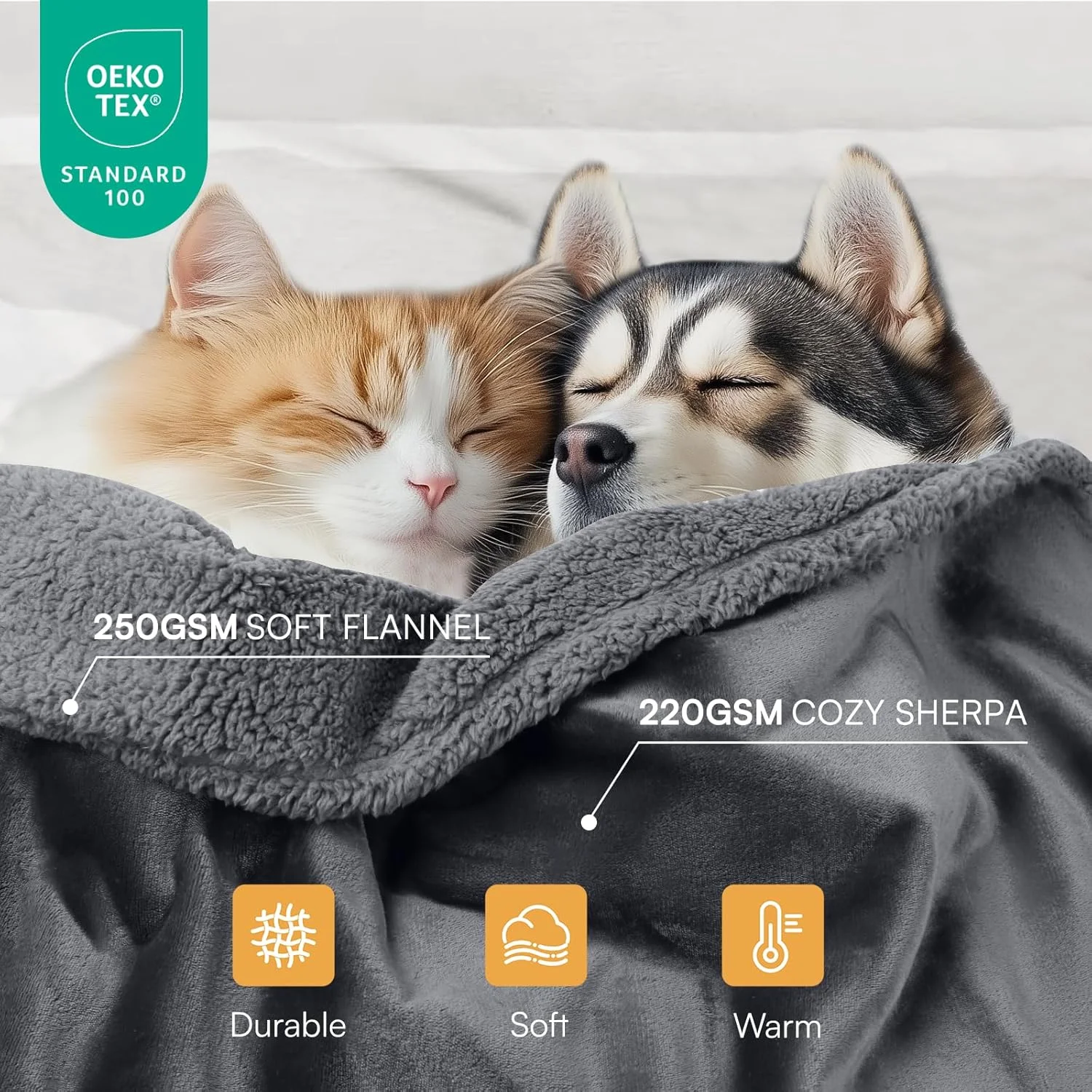 پتوی ضد آب حیوانات خانگی لوسیفیا، پتوی ضد نفوذ مایعات برای سگ ها مناسب برای مبل، تخت و کاناپه، روکش محافظ مبلمان پشمی و برگشت پذیر برای سگ ها و گربه های کوچک، متوسط و بزرگ، خاکستری تیره سایز متوسط (145cm x 102cm) پتوی ضد آب حیوانات خانگی لوسیفیا، پتوی ضد نفوذ مایعات برای سگ ها مناسب برای مبل، تخت و کاناپه، روکش محافظ مبلمان پشمی و برگشت پذیر برای سگ ها و گربه های کوچک، متوسط و بزرگ، خاکستری تیره سایز متوسط (145cm x 102cm)