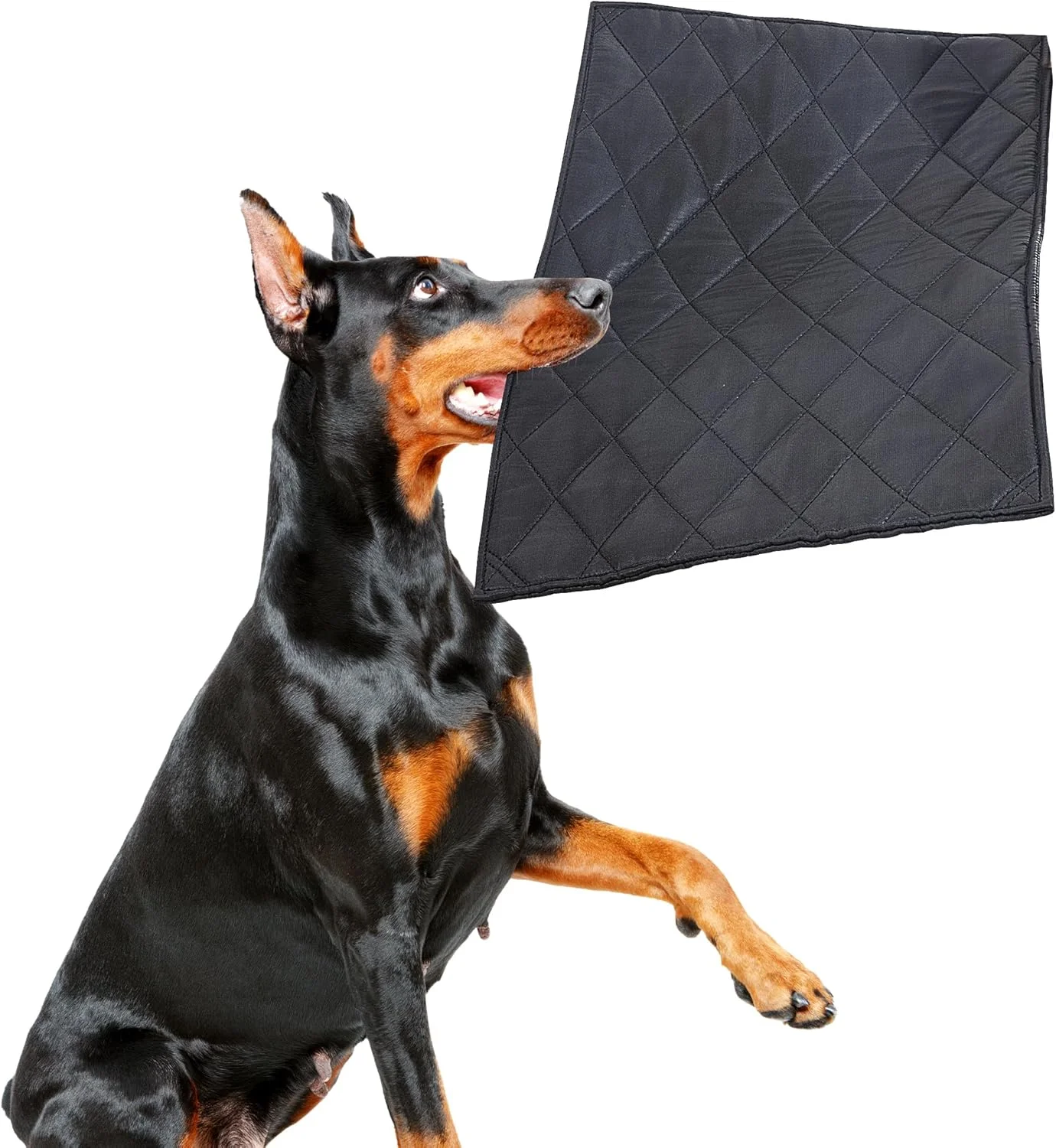 تشک سگ مقاوم در برابر جویدن MABOZOO، تشک قفس سگ بادوام و ضد تخریب برای سگ های جونده، تشک حیوانات خانگی قابل شستشو برای سگ های متوسط، تشک سگ ضد آب برای لانه، مشکی 56x89 سانتی متر تشک سگ مقاوم در برابر جویدن MABOZOO، تشک قفس سگ بادوام و ضد تخریب برای سگ های جونده، تشک حیوانات خانگی قابل شستشو برای سگ های متوسط، تشک سگ ضد آب برای لانه، مشکی 56x89 سانتی متر