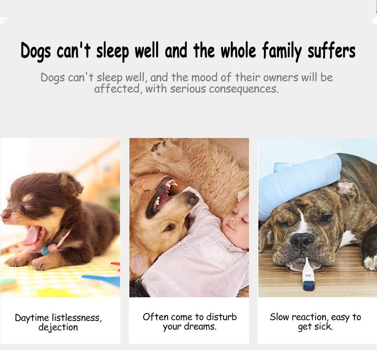 تخت خواب گربه ای Lovlifer مدل Marshmallow، تخت خواب گرم، گرد و راحت برای سگ، توله سگ، تدی و گربه، زیره ضد لغزش، تخت خواب گربه ای قابل شستشو (خاکستری روشن 70 سانتی متر) تخت خواب گربه ای Lovlifer مدل Marshmallow، تخت خواب گرم، گرد و راحت برای سگ، توله سگ، تدی و گربه، زیره ضد لغزش، تخت خواب گربه ای قابل شستشو (خاکستری روشن 70 سانتی متر)