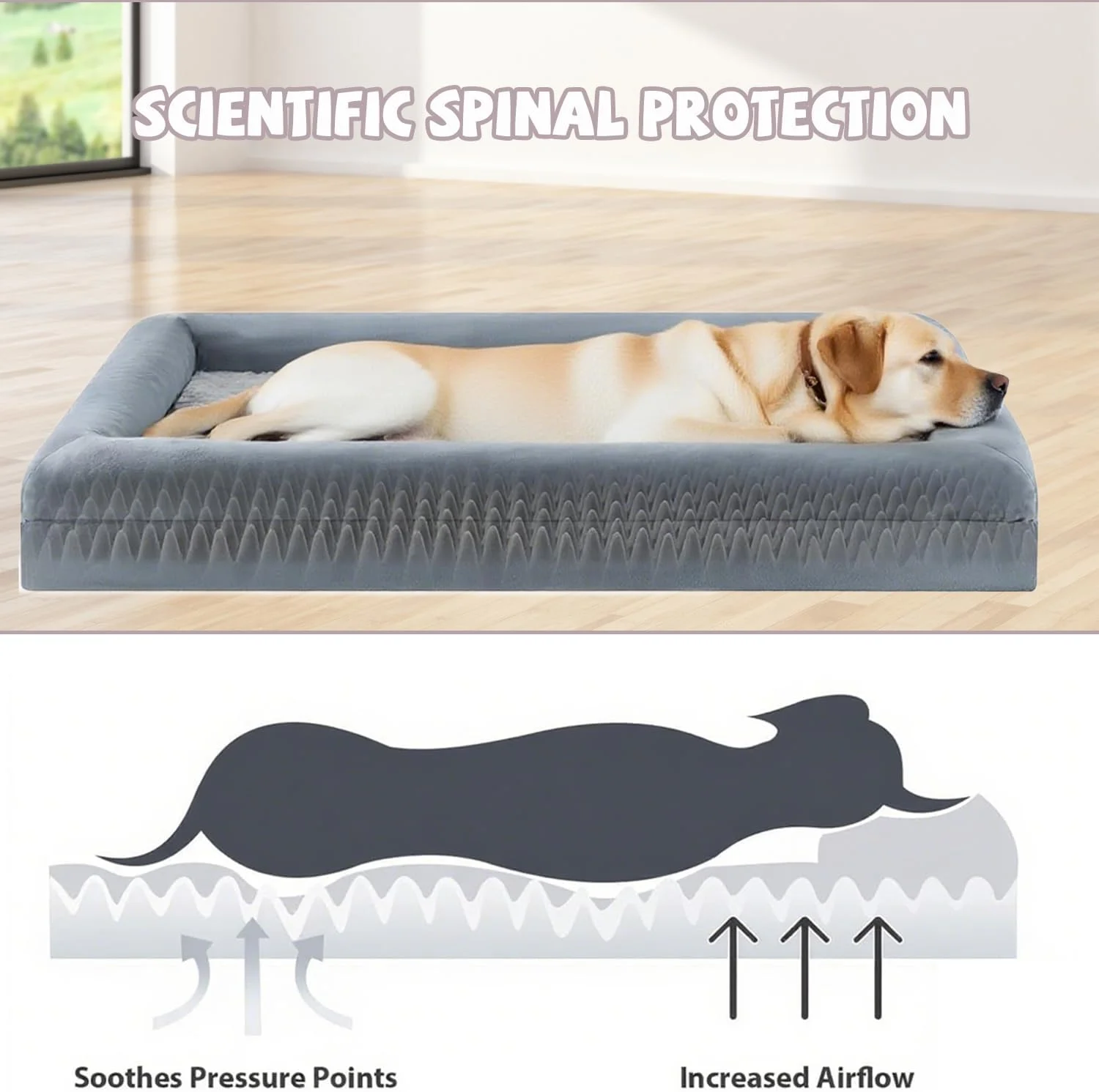 تخت خواب سگ بسیار بزرگ XL Masroo، مبل سگ قابل شستشو با روکش ضد آب جداشدنی، تختخواب ارتوپدی بزرگ حیوانات خانگی با کناره های بالشتی برای خوابیدن تخت خواب سگ بسیار بزرگ XL Masroo، مبل سگ قابل شستشو با روکش ضد آب جداشدنی، تختخواب ارتوپدی بزرگ حیوانات خانگی با کناره های بالشتی برای خوابیدن