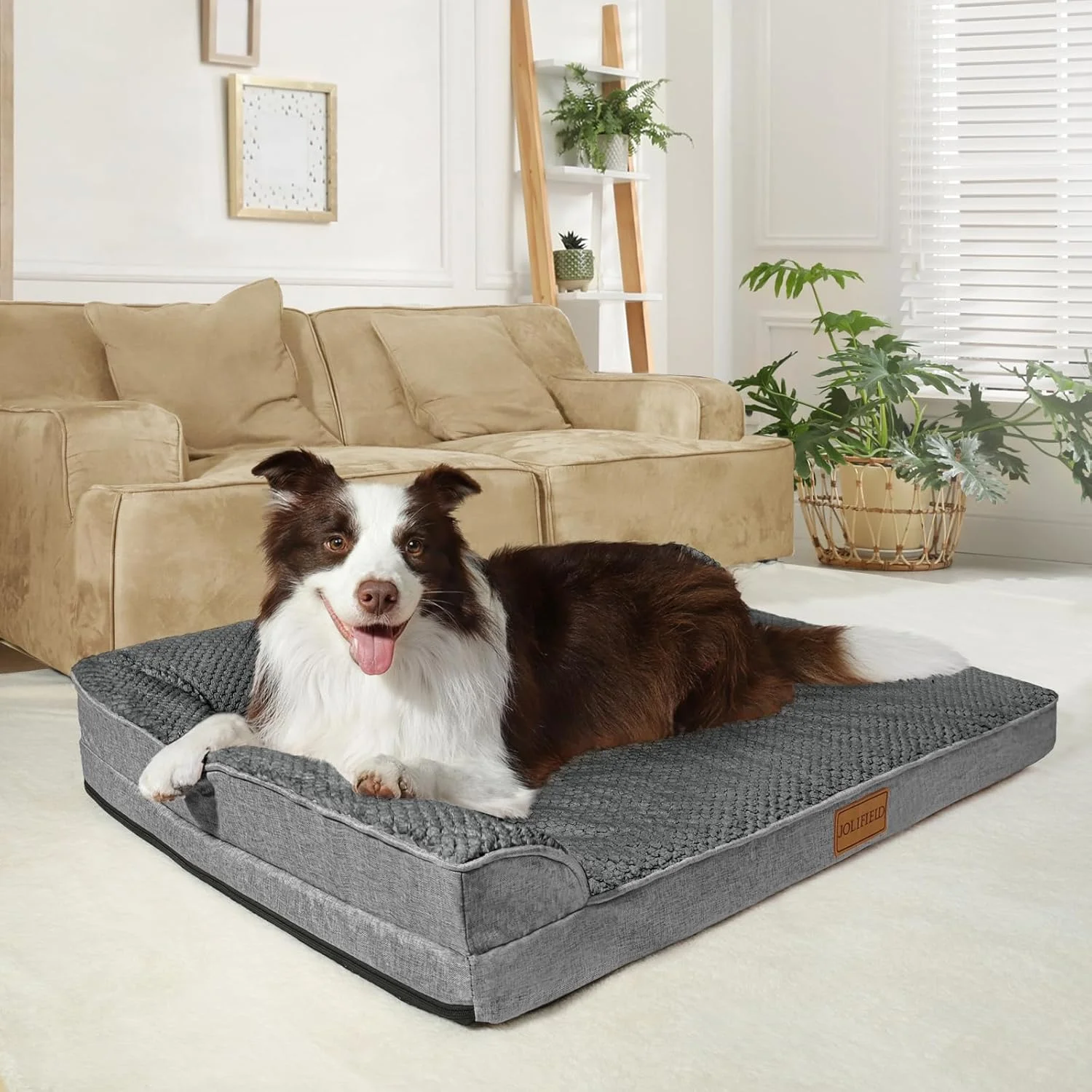 تخت سگ ارتوپدی ژاکارد XL برای سگ های بزرگ 107x71 سانتی متر، تختخواب مبل سگ بزرگ L شکل ضد آب با روکش قابل جابجایی و شستشو، تشک خواب مبل حیوانات خانگی نرم و گرم ضد لغزش، خاکستری تخت سگ ارتوپدی ژاکارد XL برای سگ های بزرگ 107x71 سانتی متر، تختخواب مبل سگ بزرگ L شکل ضد آب با روکش قابل جابجایی و شستشو، تشک خواب مبل حیوانات خانگی نرم و گرم ضد لغزش، خاکستری