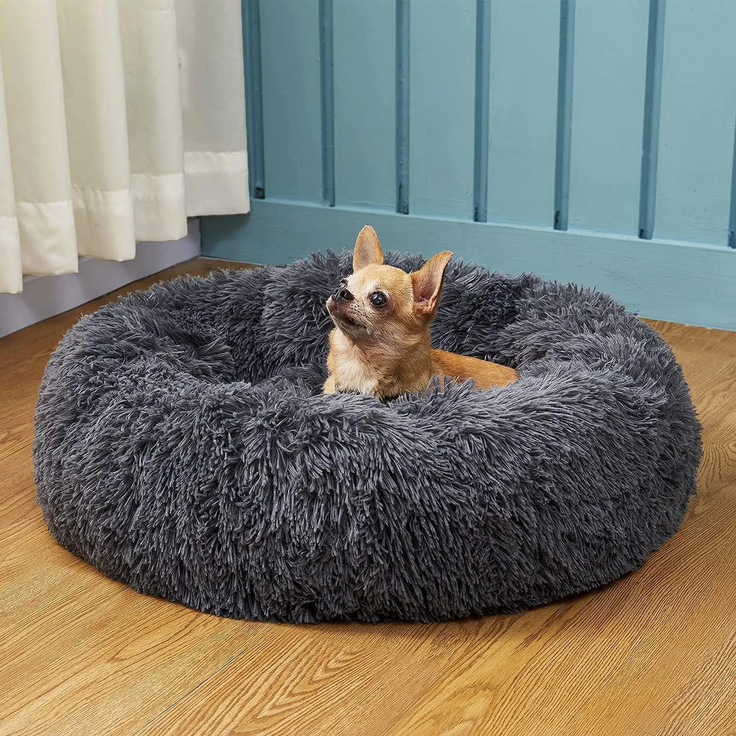 تخت خواب دوناتی سگ KASTWAVE، تخت خواب گربه برای گربه های داخل خانه، تخت خواب آرامش بخش گربه، تخت خواب گرد مخمل خواب دار نرم و کرکی گرم و راحت برای بهبود خواب، قابل شستشو در ماشین لباسشویی (20 اینچ) تخت خواب دوناتی سگ KASTWAVE، تخت خواب گربه برای گربه های داخل خانه، تخت خواب آرامش بخش گربه، تخت خواب گرد مخمل خواب دار نرم و کرکی گرم و راحت برای بهبود خواب، قابل شستشو در ماشین لباسشویی (20 اینچ)