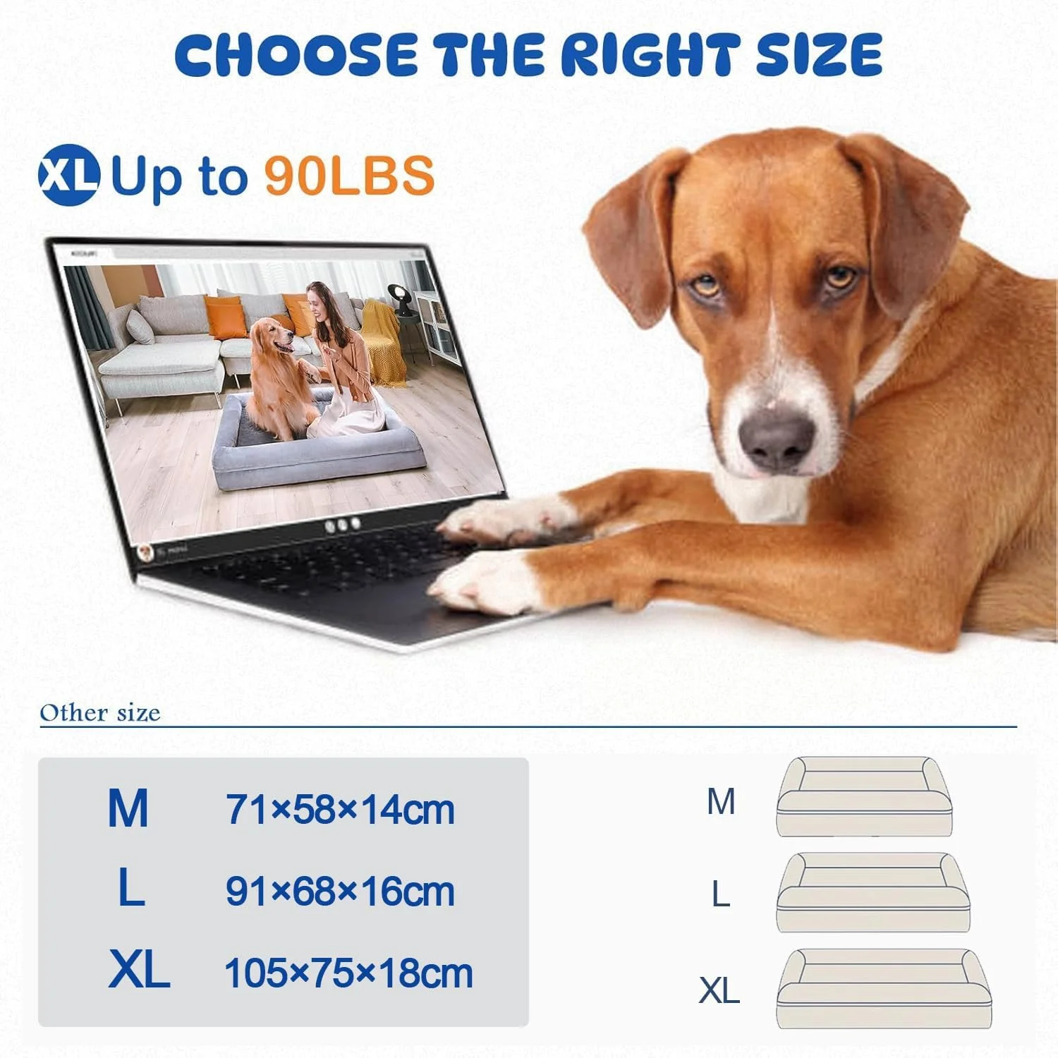 تخت سگ بزرگ ارتوپدی HENAE، تخت سگ فوم حافظه دار ضد آب با لبه، مبل سگ با روکش قابل شستشو ضد آب و فوم حافظه دار زیره ضد لغزش، خاکستری (خاکستری، L) تخت سگ بزرگ ارتوپدی HENAE، تخت سگ فوم حافظه دار ضد آب با لبه، مبل سگ با روکش قابل شستشو ضد آب و فوم حافظه دار زیره ضد لغزش، خاکستری (خاکستری، L)