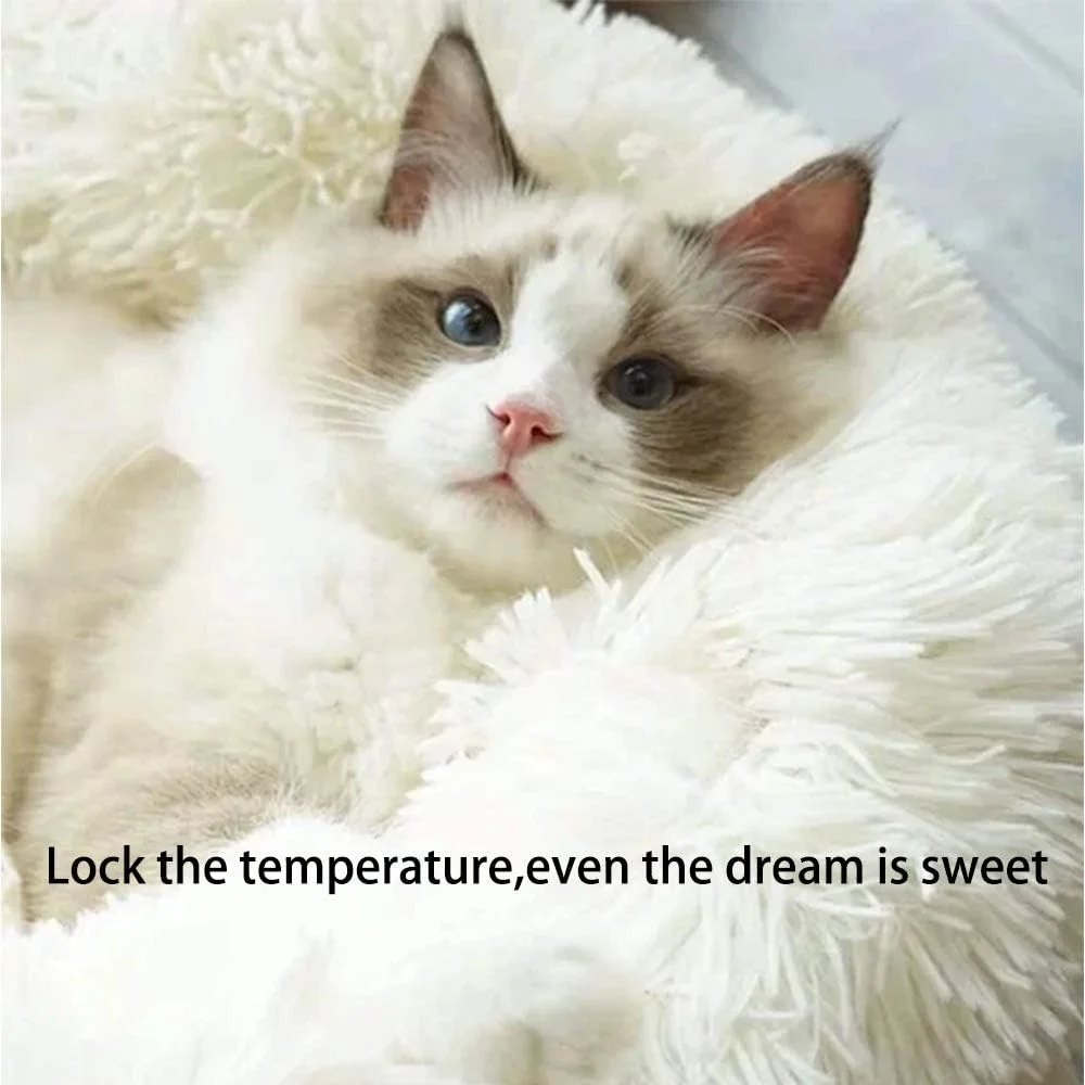 تخت خواب گربه گاونیا برای گربه های داخل خانه - 50x50 سانتی متر، تخت خواب دوناتی گربه و سگ قابل شستشو، کوسن حیوانات خانگی نرم و مخملی، کف ضد آب - تخت خواب آرامش بخش و خود گرم شونده برای سگ و گربه برای بهبود خواب (بژ) تخت خواب گربه گاونیا برای گربه های داخل خانه - 50x50 سانتی متر، تخت خواب دوناتی گربه و سگ قابل شستشو، کوسن حیوانات خانگی نرم و مخملی، کف ضد آب - تخت خواب آرامش بخش و خود گرم شونده برای سگ و گربه برای بهبود خواب (بژ)