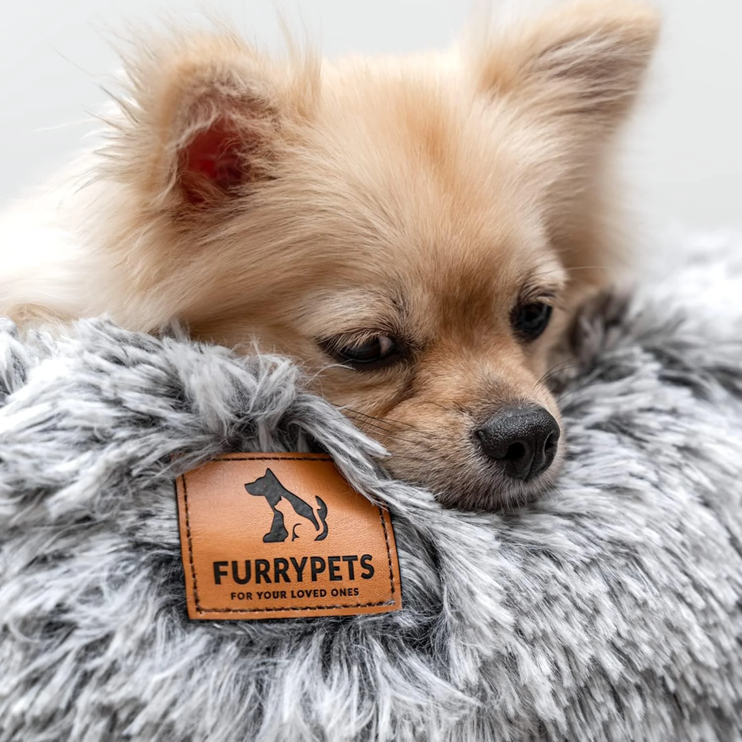 تخت خواب گرد آرامش بخش سگ برای سگ های کوچک و متوسط - مبل فوق العاده نرم حیوانات خانگی با زیره ضد لغزش، روکش قابل شستشو در ماشین لباسشویی و پرکننده مخملی با چگالی بالا - تخت خواب دنج گربه و سگ برای کاهش اضطراب تخت خواب گرد آرامش بخش سگ برای سگ های کوچک و متوسط - مبل فوق العاده نرم حیوانات خانگی با زیره ضد لغزش، روکش قابل شستشو در ماشین لباسشویی و پرکننده مخملی با چگالی بالا - تخت خواب دنج گربه و سگ برای کاهش اضطراب