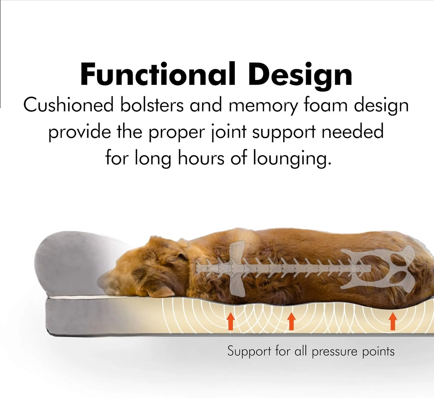 تخت خواب سگ ارتوپدی Friends Forever، مبل راحتی با روکش قابل جابجایی 100% جیر، تشک مموری فوم با لبه تقویت شده، نسخه پرمیوم پرستیژ، خاکی بژ، کوچک 50x63 سانتی متر، PET63PC4858 تخت خواب سگ ارتوپدی Friends Forever، مبل راحتی با روکش قابل جابجایی 100% جیر، تشک مموری فوم با لبه تقویت شده، نسخه پرمیوم پرستیژ، خاکی بژ، کوچک 50x63 سانتی متر، PET63PC4858