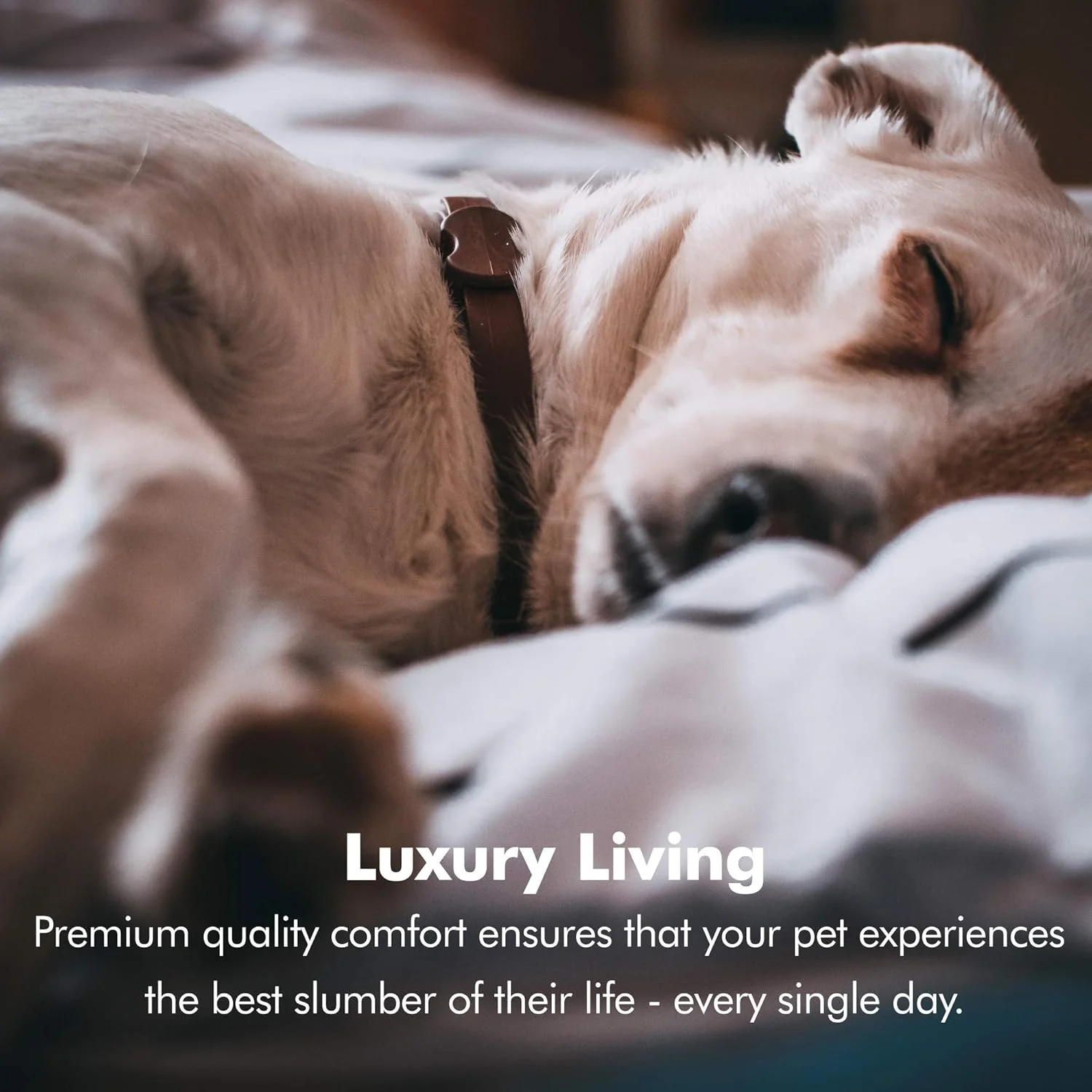 تخت خواب سگ ارتوپدی Friends Forever، مبل راحتی با روکش قابل جابجایی 100% جیر، تشک مموری فوم با لبه تقویت شده، نسخه پرمیوم پرستیژ، خاکی بژ، کوچک 50x63 سانتی متر، PET63PC4858 تخت خواب سگ ارتوپدی Friends Forever، مبل راحتی با روکش قابل جابجایی 100% جیر، تشک مموری فوم با لبه تقویت شده، نسخه پرمیوم پرستیژ، خاکی بژ، کوچک 50x63 سانتی متر، PET63PC4858