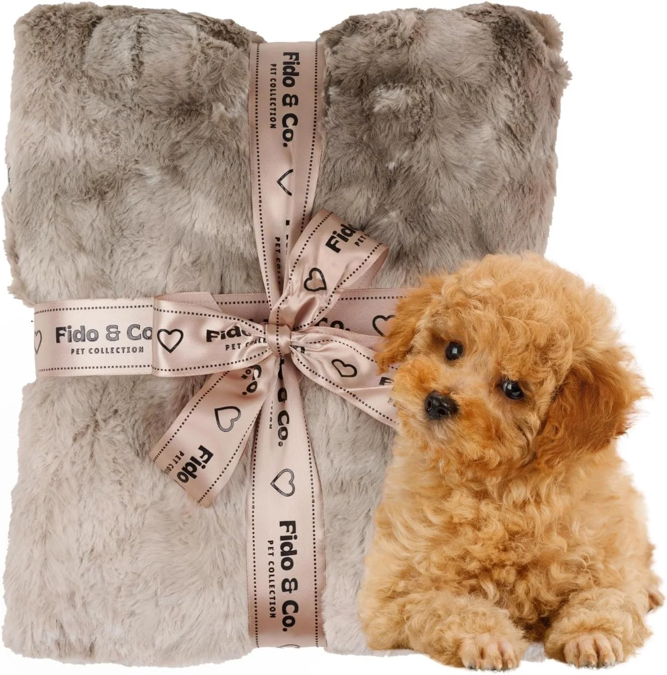 پتوی ضد آب بزرگ (152x127 سانتی متر) لوکس حیوانات خانگی خز مصنوعی خاکستری سایز خیلی بزرگ، محافظت از تخت سگ، صندلی ماشین، مبل، تخت گربه و سگ، لوازم جانبی حیوانات خانگی، قابل شستشو، مناسب توله سگ، قفس، مبلمان پتوی ضد آب بزرگ (152x127 سانتی متر) لوکس حیوانات خانگی خز مصنوعی خاکستری سایز خیلی بزرگ، محافظت از تخت سگ، صندلی ماشین، مبل، تخت گربه و سگ، لوازم جانبی حیوانات خانگی، قابل شستشو، مناسب توله سگ، قفس، مبلمان