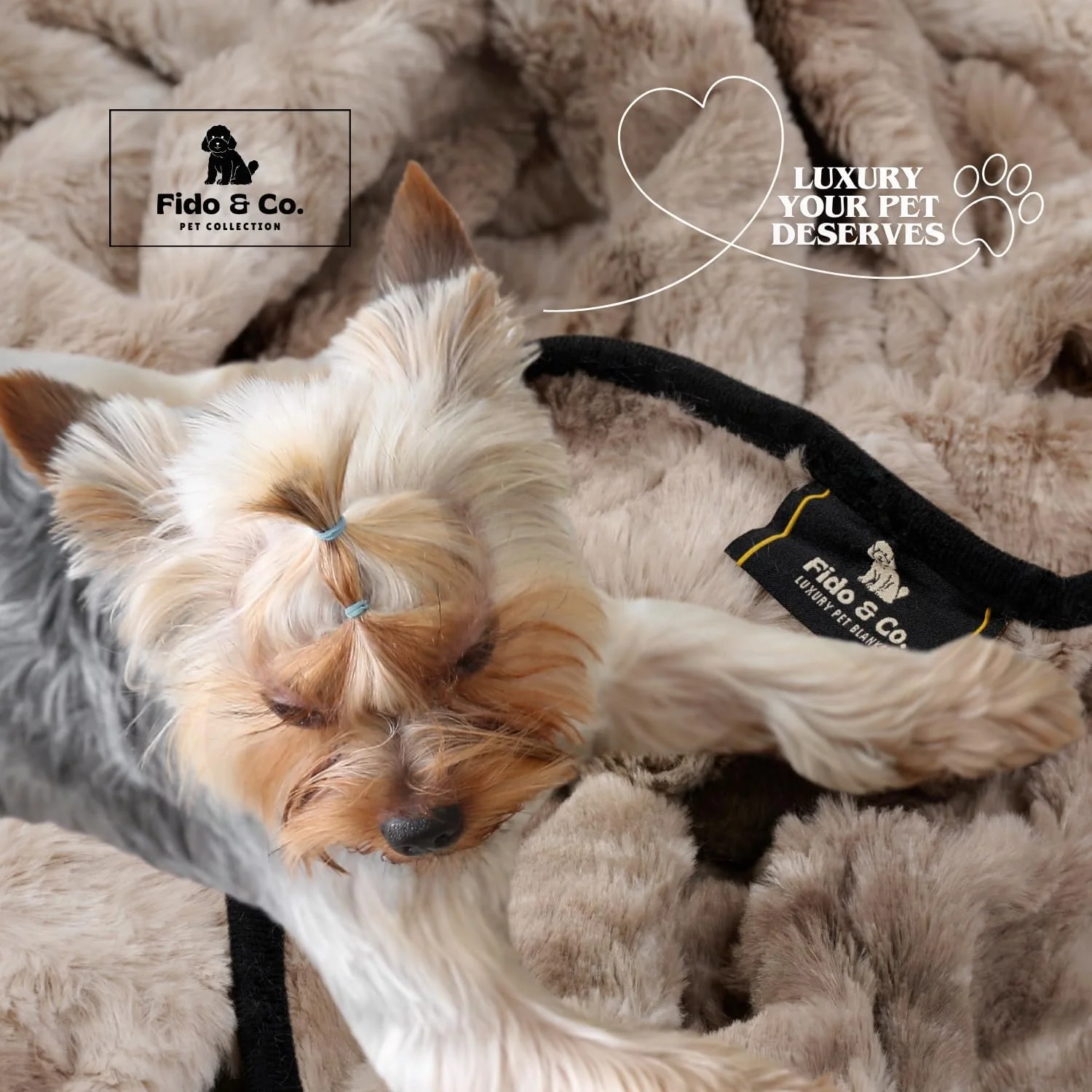 پتوی ضد آب بزرگ (152x127 سانتی متر) لوکس حیوانات خانگی خز مصنوعی خاکستری سایز خیلی بزرگ، محافظت از تخت سگ، صندلی ماشین، مبل، تخت گربه و سگ، لوازم جانبی حیوانات خانگی، قابل شستشو، مناسب توله سگ، قفس، مبلمان پتوی ضد آب بزرگ (152x127 سانتی متر) لوکس حیوانات خانگی خز مصنوعی خاکستری سایز خیلی بزرگ، محافظت از تخت سگ، صندلی ماشین، مبل، تخت گربه و سگ، لوازم جانبی حیوانات خانگی، قابل شستشو، مناسب توله سگ، قفس، مبلمان