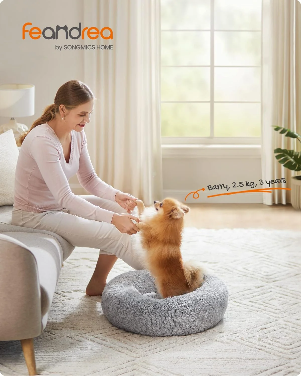 تخت سگ FEANDREA، تخت گربه، سطح نرم و مخملی، مبل سگ به شکل دونات با کوسن داخلی قابل جابجایی، قابل شستشو، قطر 58 سانتی متر، خاکستری UPGW038G01 تخت سگ FEANDREA، تخت گربه، سطح نرم و مخملی، مبل سگ به شکل دونات با کوسن داخلی قابل جابجایی، قابل شستشو، قطر 58 سانتی متر، خاکستری UPGW038G01