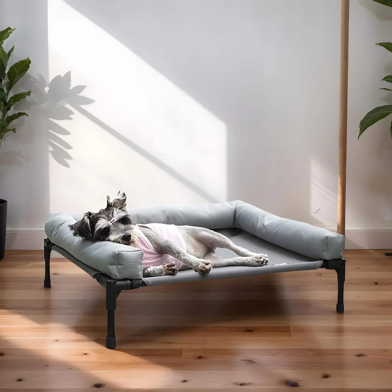 تخت خواب خنک کننده مرتفع سگ برای سگ های کوچک و متوسط - تخت حیوانات خانگی ضد آب و مقاوم با توری تنفسی، پشتیبانی ارتوپدی - تخت خواب قابل حمل در فضای باز برای جعبه ها، کمپینگ، مسافرت، استفاده در محیط داخلی تخت خواب خنک کننده مرتفع سگ برای سگ های کوچک و متوسط - تخت حیوانات خانگی ضد آب و مقاوم با توری تنفسی، پشتیبانی ارتوپدی - تخت خواب قابل حمل در فضای باز برای جعبه ها، کمپینگ، مسافرت، استفاده در محیط داخلی