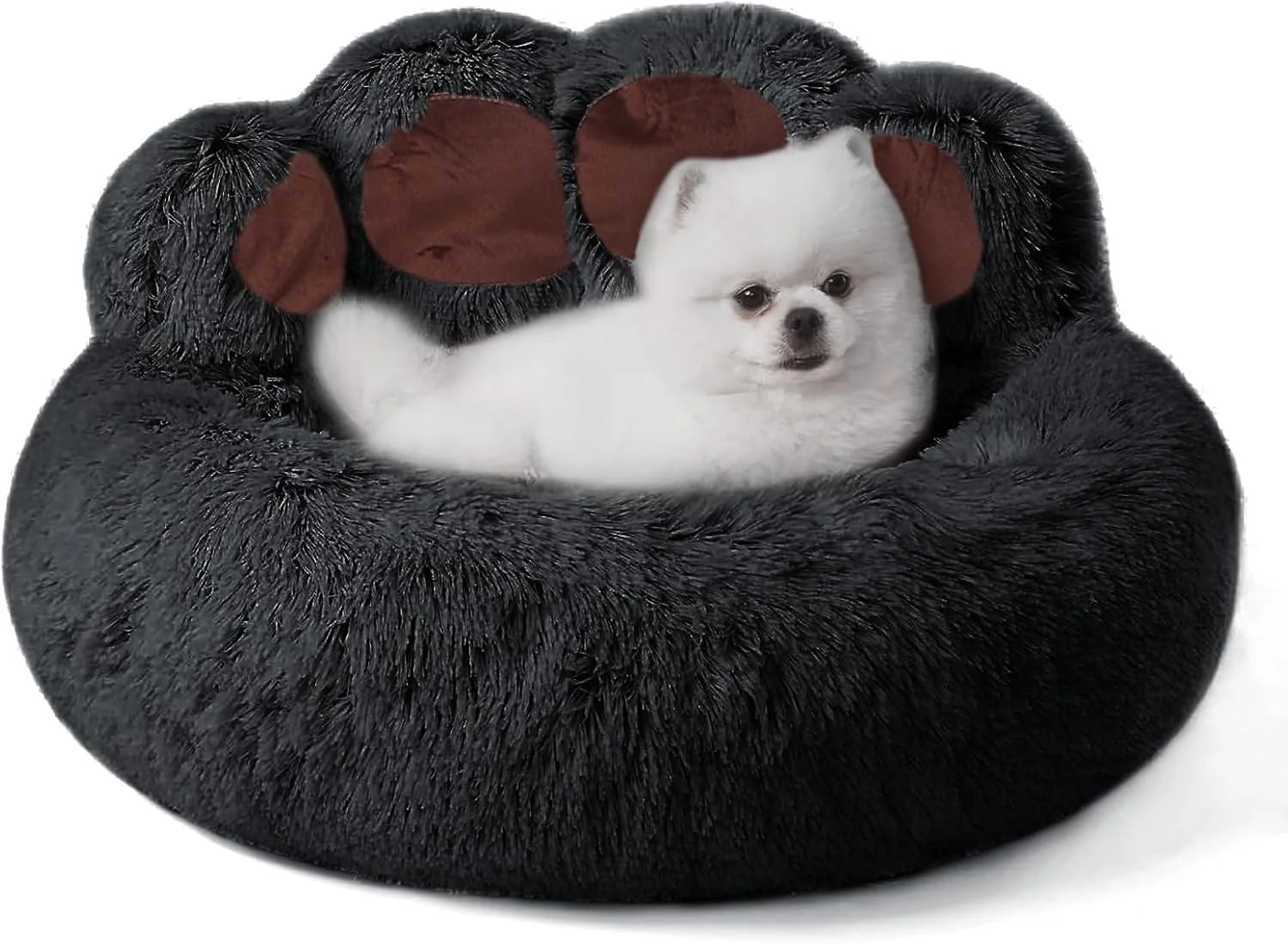 تخت خواب گرد پنجه خرسی DIMUT برای سگ های خانگی، مبل گربه، تخت گربه، تخت خواب آرامش بخش سگ برای سگ های کوچک، تخت دونات سگ گربه قابل شستشو، تخت حیوانات خانگی نرم برای توله سگ و بچه گربه با کف مقاوم در برابر لغزش (مشکی، کوچک) تخت خواب گرد پنجه خرسی DIMUT برای سگ های خانگی، مبل گربه، تخت گربه، تخت خواب آرامش بخش سگ برای سگ های کوچک، تخت دونات سگ گربه قابل شستشو، تخت حیوانات خانگی نرم برای توله سگ و بچه گربه با کف مقاوم در برابر لغزش (مشکی، کوچک)