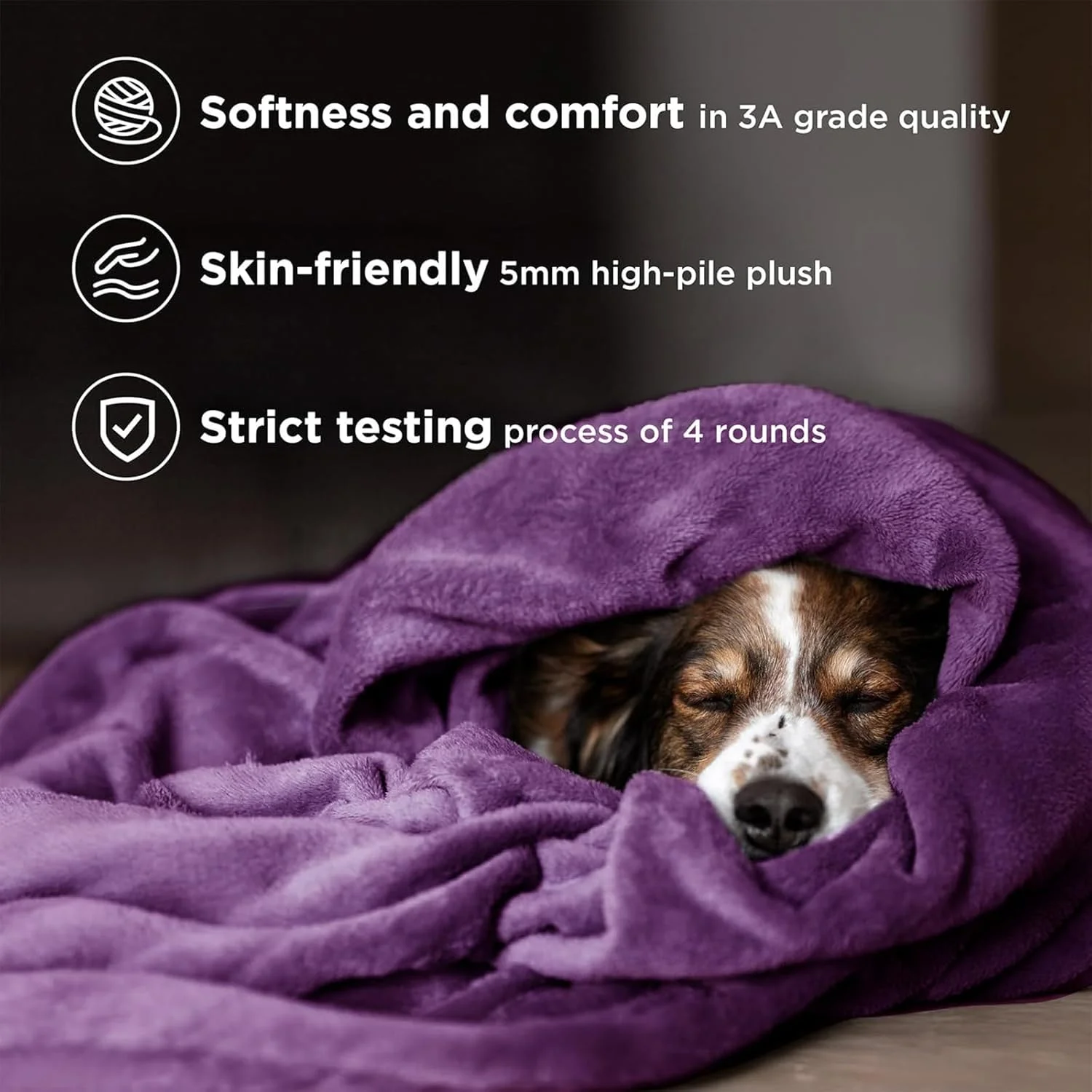 پتوی سگ DIMUT، پتوی حیوانات خانگی، پتوی نرم و کرکی توله سگ، روکش برای لانه، تخت، پتوی آرامش بخش و دنج گربه، پتوی فازی حیوانات خانگی برای بچه گربه (بنفش، L 150x100 سانتی متر)  پتوی سگ DIMUT، پتوی حیوانات خانگی، پتوی نرم و کرکی توله سگ، روکش برای لانه، تخت، پتوی آرامش بخش و دنج گربه، پتوی فازی حیوانات خانگی برای بچه گربه (بنفش، L 150x100 سانتی متر)