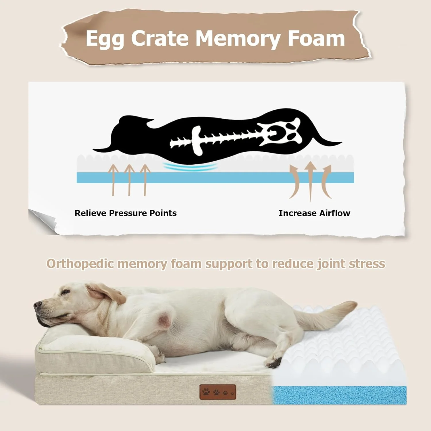 تخت سگ XL Dokdogs با دیواره های کناری، تخت خواب ارتوپدی سگ، مبل حیوانات خانگی بژ، تخت سگ بزرگ با روکش های قابل شستشو و کف ضد لغزش، تخت کاناپه ضد آب برای سگ ها (XL، بژ)