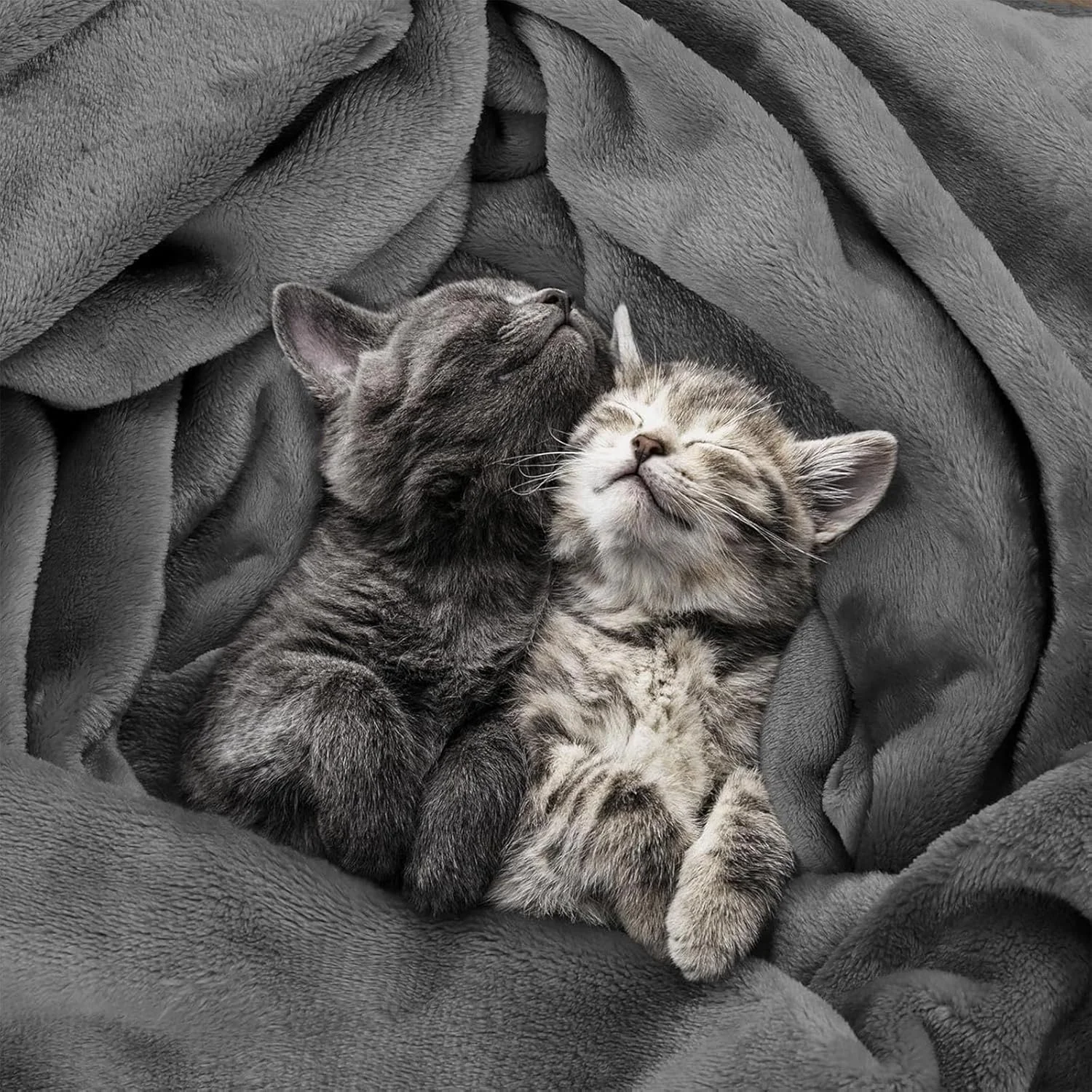 پتوی سگ DIMUT، پتوی حیوانات خانگی، پتوی نرم و کرکی توله سگ، روکش برای لانه، تخت، پتوی آرامش بخش و دنج گربه، پتوی فازی حیوانات خانگی برای بچه گربه (بنفش، L 150x100 سانتی متر)  پتوی سگ DIMUT، پتوی حیوانات خانگی، پتوی نرم و کرکی توله سگ، روکش برای لانه، تخت، پتوی آرامش بخش و دنج گربه، پتوی فازی حیوانات خانگی برای بچه گربه (بنفش، L 150x100 سانتی متر)