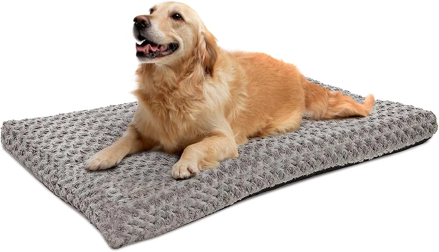 تخت خواب بزرگ سگ قابل شستشو DIMUT، تخت خواب لوکس و مخملی برای سگ ها، پد نرم و راحت برای لانه، تشک خواب ضد لغزش برای نژادهای سگ بزرگ، خیلی بزرگ، متوسط و کوچک (متوسط، خاکستری) تخت خواب بزرگ سگ قابل شستشو DIMUT، تخت خواب لوکس و مخملی برای سگ ها، پد نرم و راحت برای لانه، تشک خواب ضد لغزش برای نژادهای سگ بزرگ، خیلی بزرگ، متوسط و کوچک (متوسط، خاکستری)