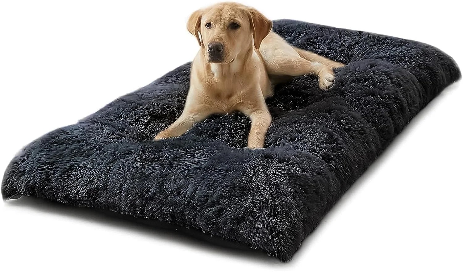 تخت خواب بزرگ سگ DIMUT، تخت خواب نرم و مخملی حیوانات خانگی، تشک لانه سگ ضد لغزش و قابل شستشو برای سگ های بزرگ، جامبو، متوسط و کوچک، تشک برای خواب حیوانات خانگی، تخت سگ ضد لغزش (بسیار بزرگ، مشکی) تخت خواب بزرگ سگ DIMUT، تخت خواب نرم و مخملی حیوانات خانگی، تشک لانه سگ ضد لغزش و قابل شستشو برای سگ های بزرگ، جامبو، متوسط و کوچک، تشک برای خواب حیوانات خانگی، تخت سگ ضد لغزش (بسیار بزرگ، مشکی)