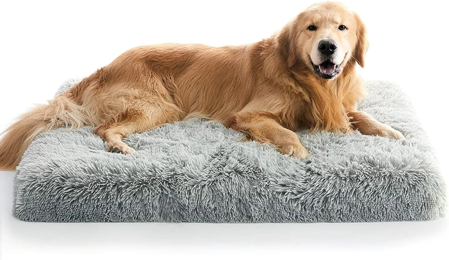 تشک تخت خواب سگ بزرگ مخملی نرم DIMUT، پدهای سگ قابل جابجایی و شستشو، تخت خواب حیوانات خانگی برای سگ ها و گربه های کوچک متوسط، تخت سگ فوم جعبه تخم مرغ ارتوپدی (بزرگ، خاکستری) تشک تخت خواب سگ بزرگ مخملی نرم DIMUT، پدهای سگ قابل جابجایی و شستشو، تخت خواب حیوانات خانگی برای سگ ها و گربه های کوچک متوسط، تخت سگ فوم جعبه تخم مرغ ارتوپدی (بزرگ، خاکستری)
