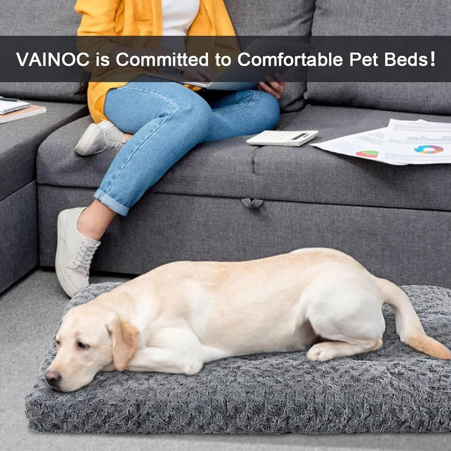 تخت خواب بزرگ سگ قابل شستشو DIMUT، تخت خواب لوکس و مخملی برای سگ ها، پد نرم و راحت برای لانه، تشک خواب ضد لغزش برای نژادهای سگ بزرگ، خیلی بزرگ، متوسط و کوچک (متوسط، خاکستری) تخت خواب بزرگ سگ قابل شستشو DIMUT، تخت خواب لوکس و مخملی برای سگ ها، پد نرم و راحت برای لانه، تشک خواب ضد لغزش برای نژادهای سگ بزرگ، خیلی بزرگ، متوسط و کوچک (متوسط، خاکستری)