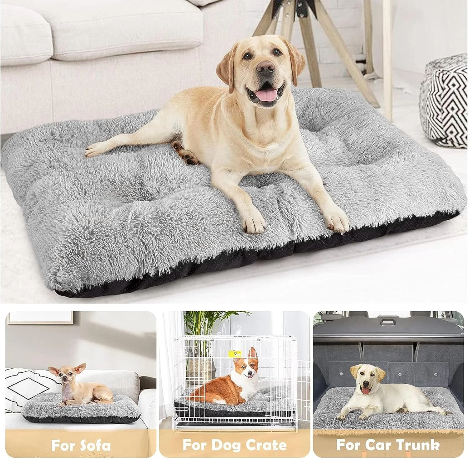 تخت خواب بزرگ سگ DIMUT، تخت خواب نرم و مخملی حیوانات خانگی، تشک لانه سگ ضد لغزش و قابل شستشو برای سگ های بزرگ، جامبو، متوسط و کوچک، تشک برای خواب حیوانات خانگی، تخت سگ ضد لغزش (بسیار بزرگ، مشکی) تخت خواب بزرگ سگ DIMUT، تخت خواب نرم و مخملی حیوانات خانگی، تشک لانه سگ ضد لغزش و قابل شستشو برای سگ های بزرگ، جامبو، متوسط و کوچک، تشک برای خواب حیوانات خانگی، تخت سگ ضد لغزش (بسیار بزرگ، مشکی)