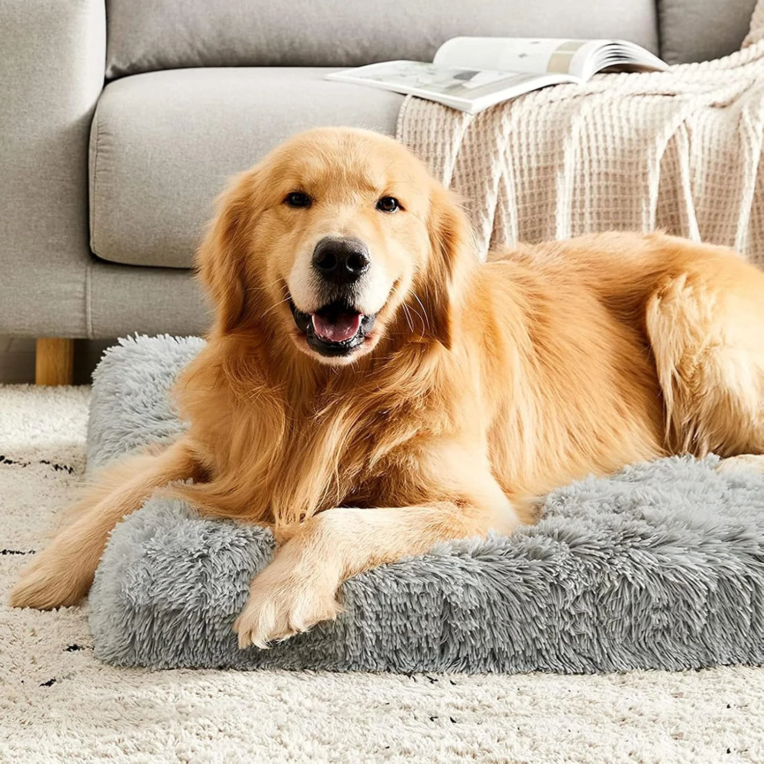تشک تخت خواب سگ بزرگ مخملی نرم DIMUT، پدهای سگ قابل جابجایی و شستشو، تخت خواب حیوانات خانگی برای سگ ها و گربه های کوچک متوسط، تخت سگ فوم جعبه تخم مرغ ارتوپدی (بزرگ، خاکستری) تشک تخت خواب سگ بزرگ مخملی نرم DIMUT، پدهای سگ قابل جابجایی و شستشو، تخت خواب حیوانات خانگی برای سگ ها و گربه های کوچک متوسط، تخت سگ فوم جعبه تخم مرغ ارتوپدی (بزرگ، خاکستری)